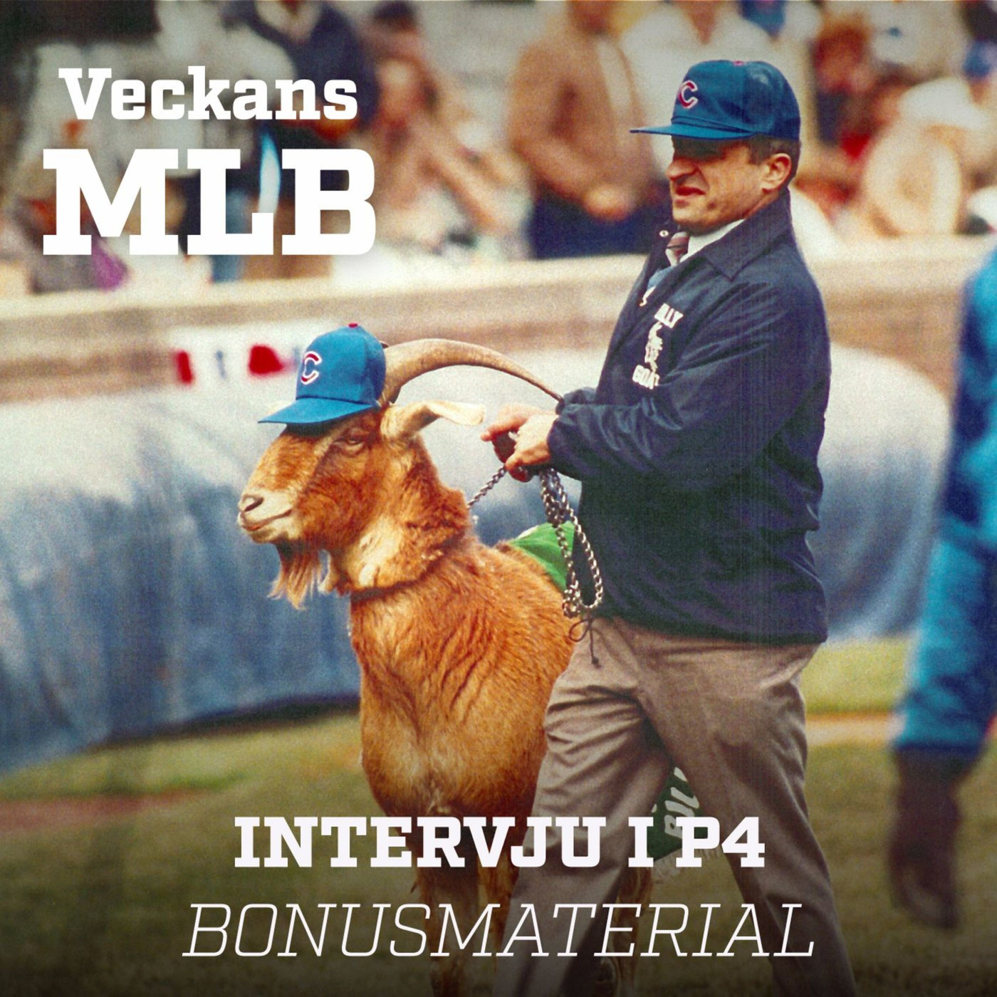 Veckans MLB