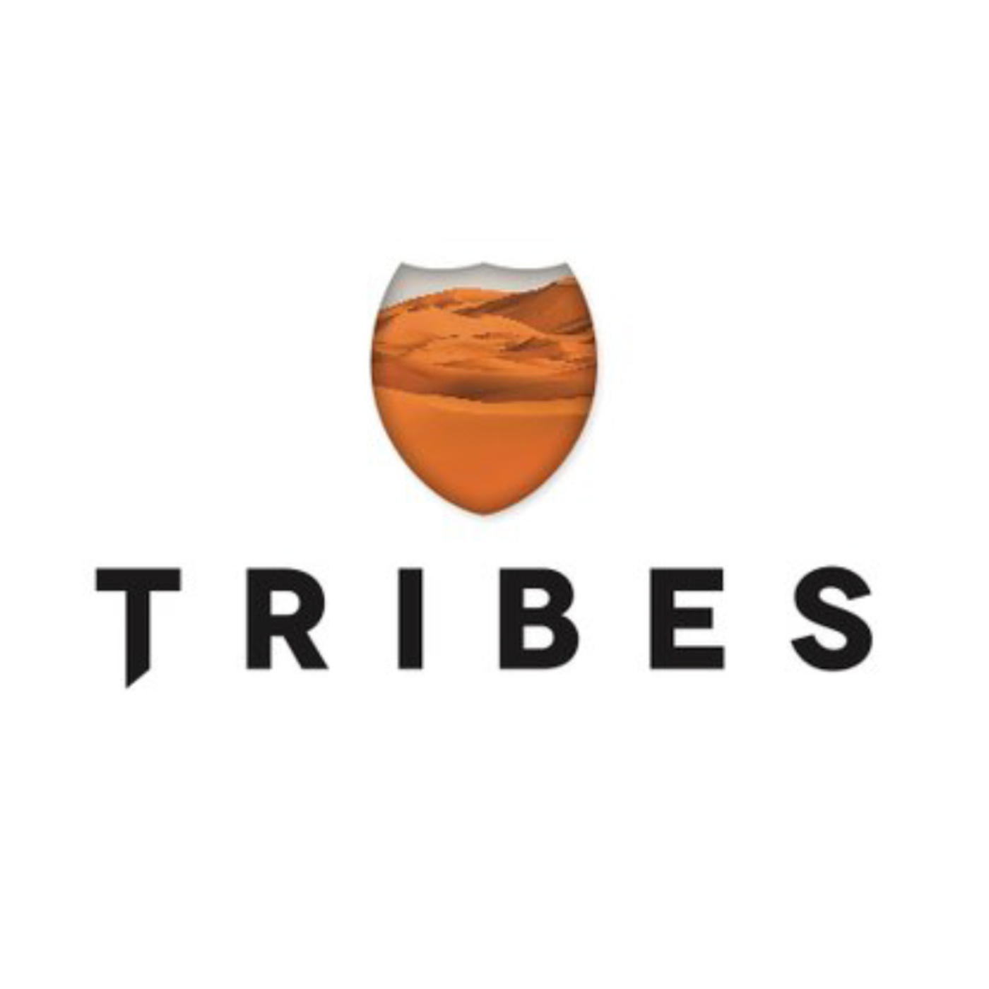 Meet Eduard Schaepman, Chief and Founder of Tribes in the Netherlands