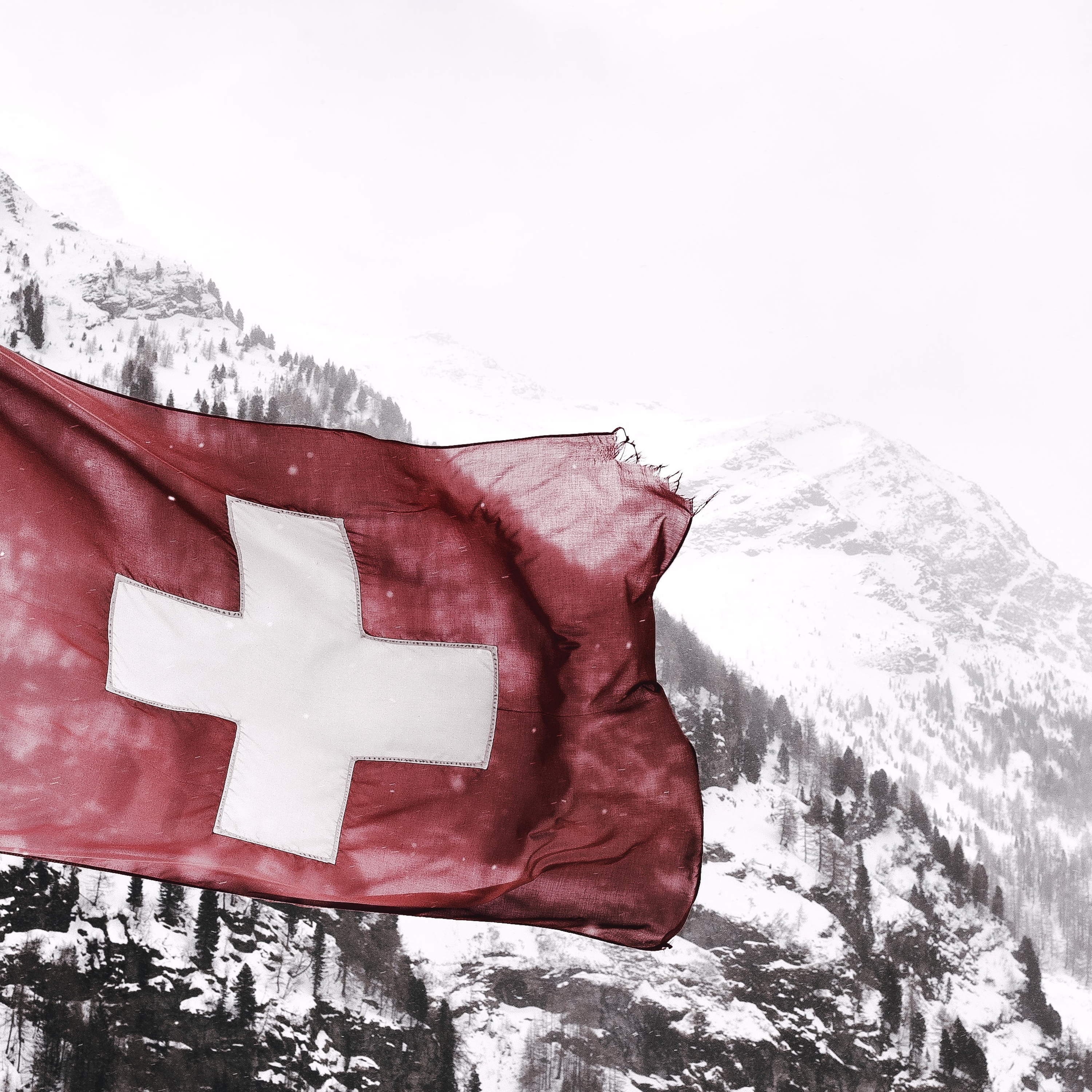 S3E30 / Gun Violence in America / What the Swiss can teach us