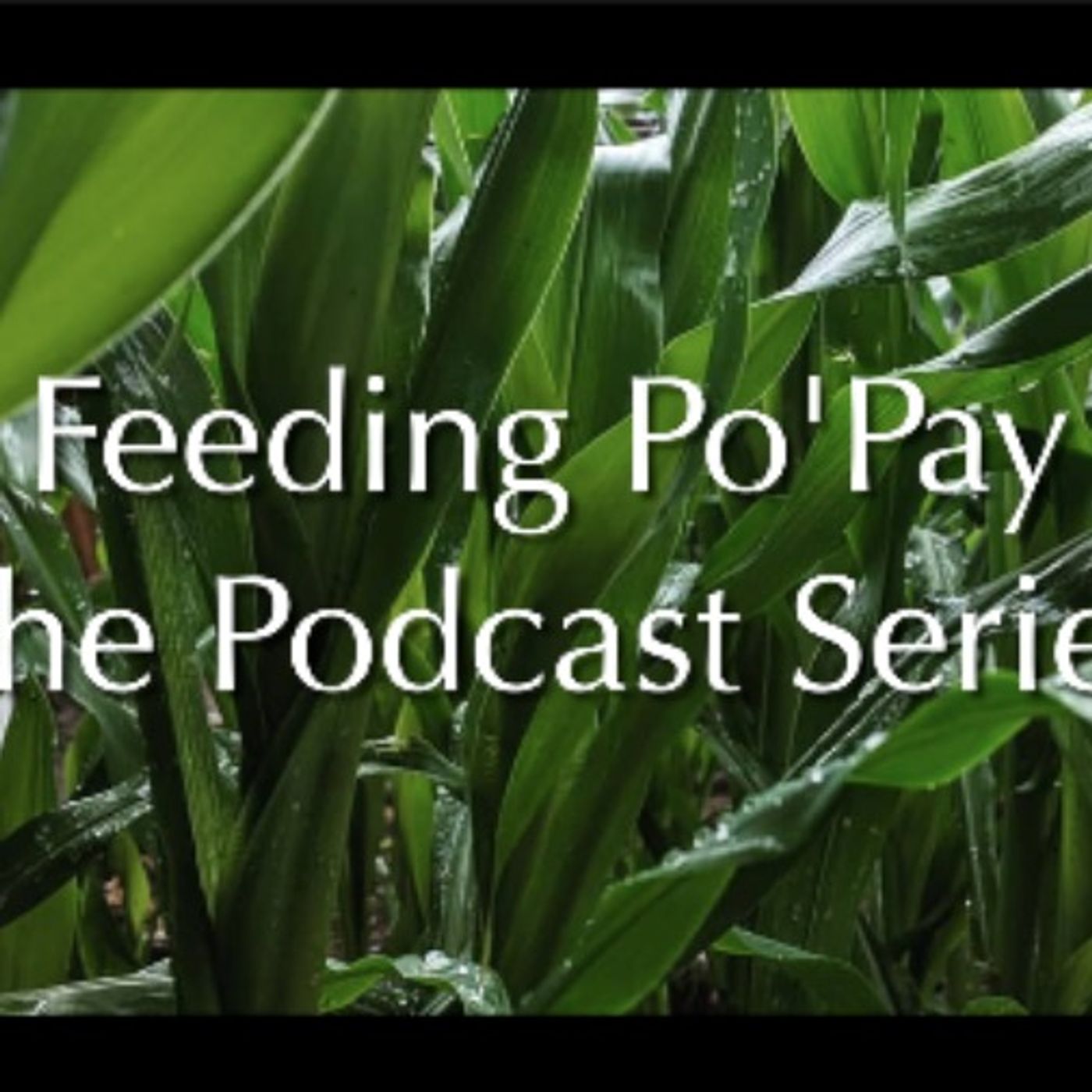 Feeding Po'Pay - The Podcast Series