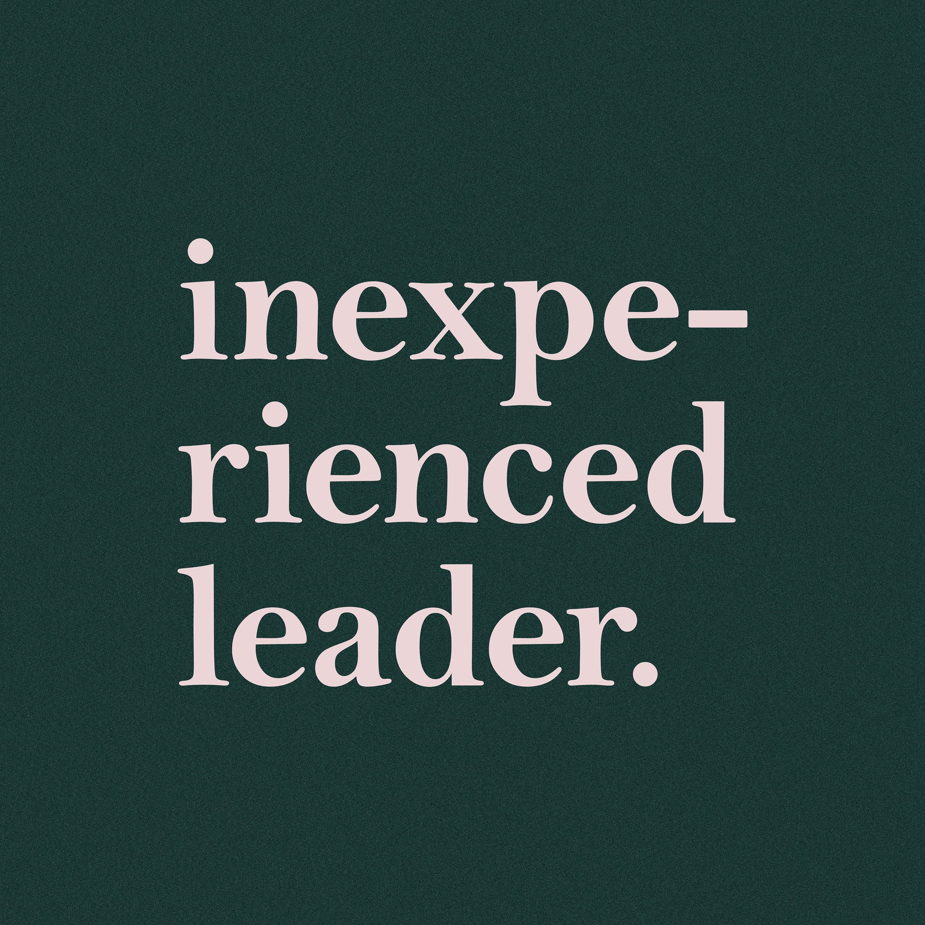 Inexperienced Leader