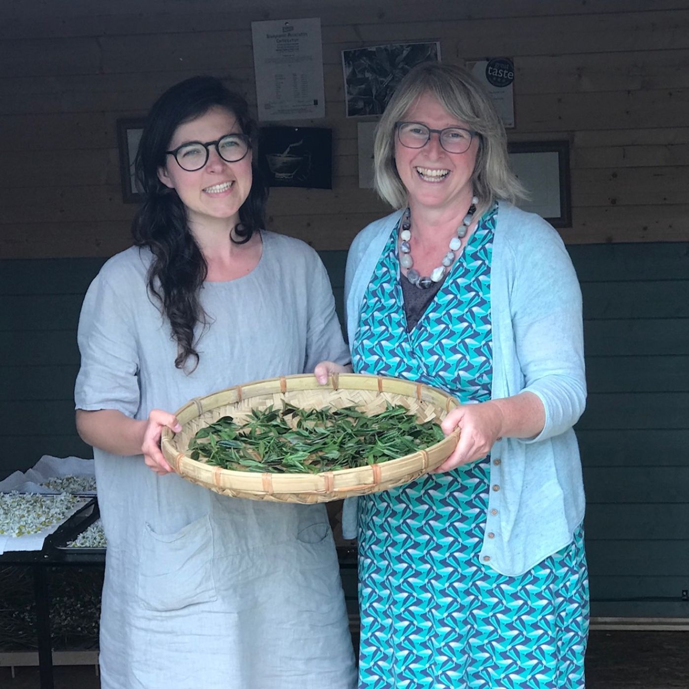 Monica Griesbaum on natural tea growing in Scotland and making tea