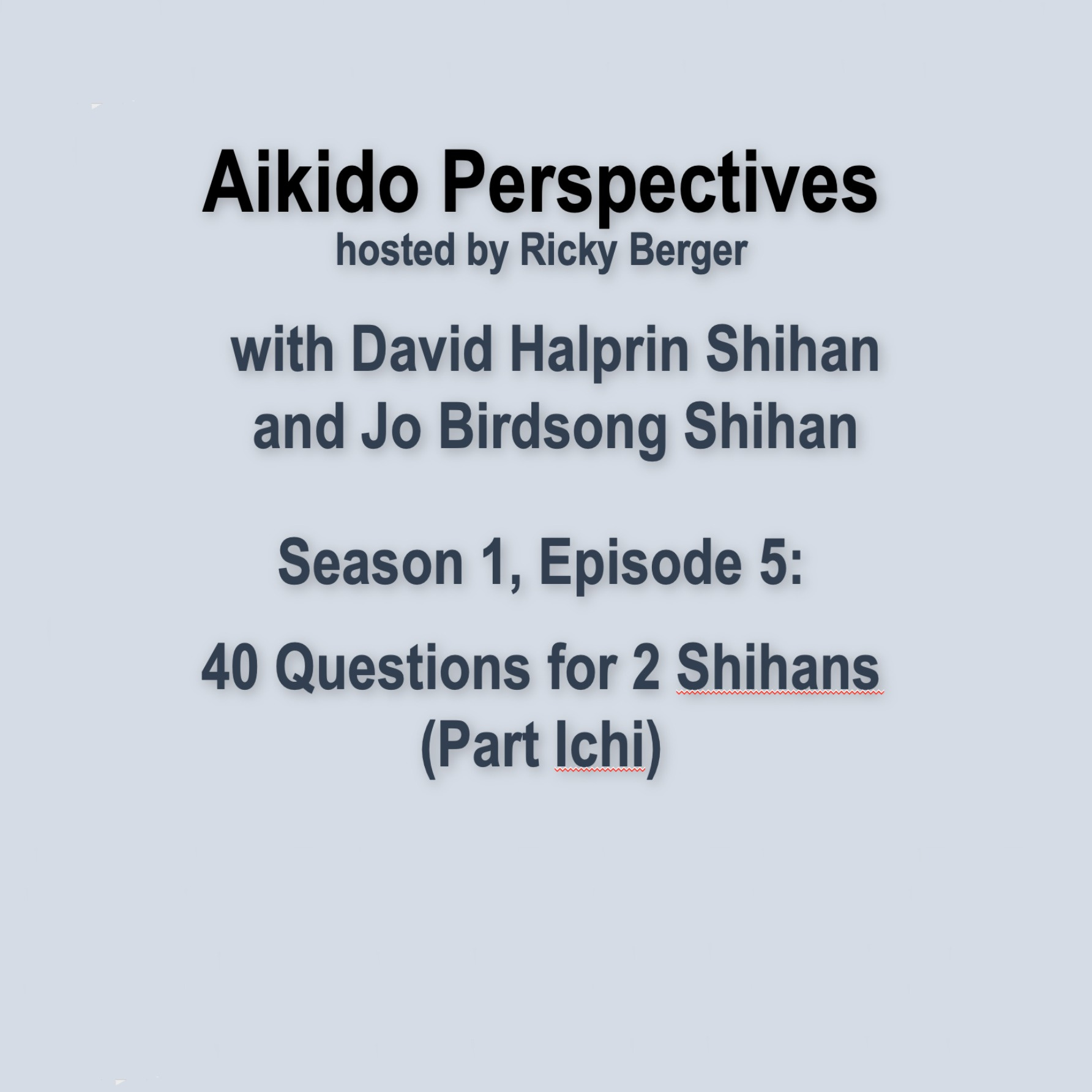 Aikido Perspectives S01E05: 40 Questions for 2 Shihans (Part Ichi)