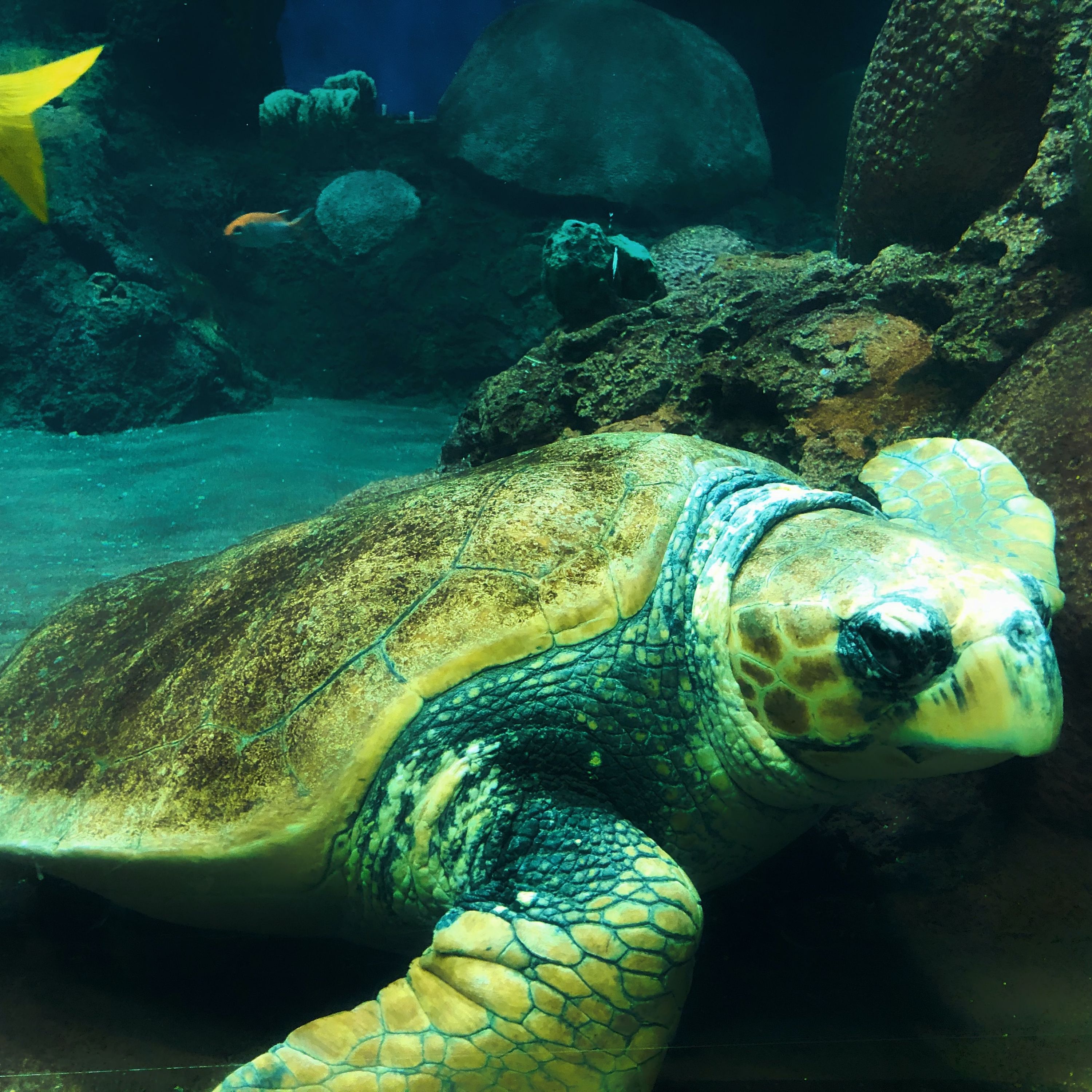 Recycle-based materials solution contributes to a cleaner ocean and sustainable livelihoods—Part 1