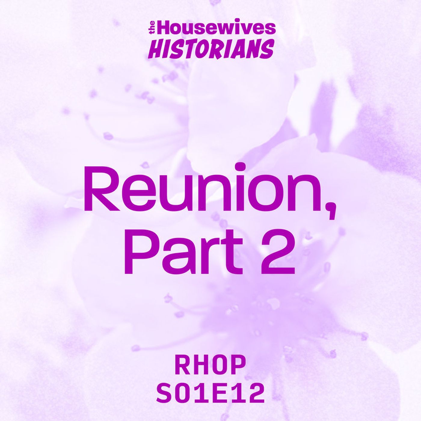 The Housewives Historians Podcast
