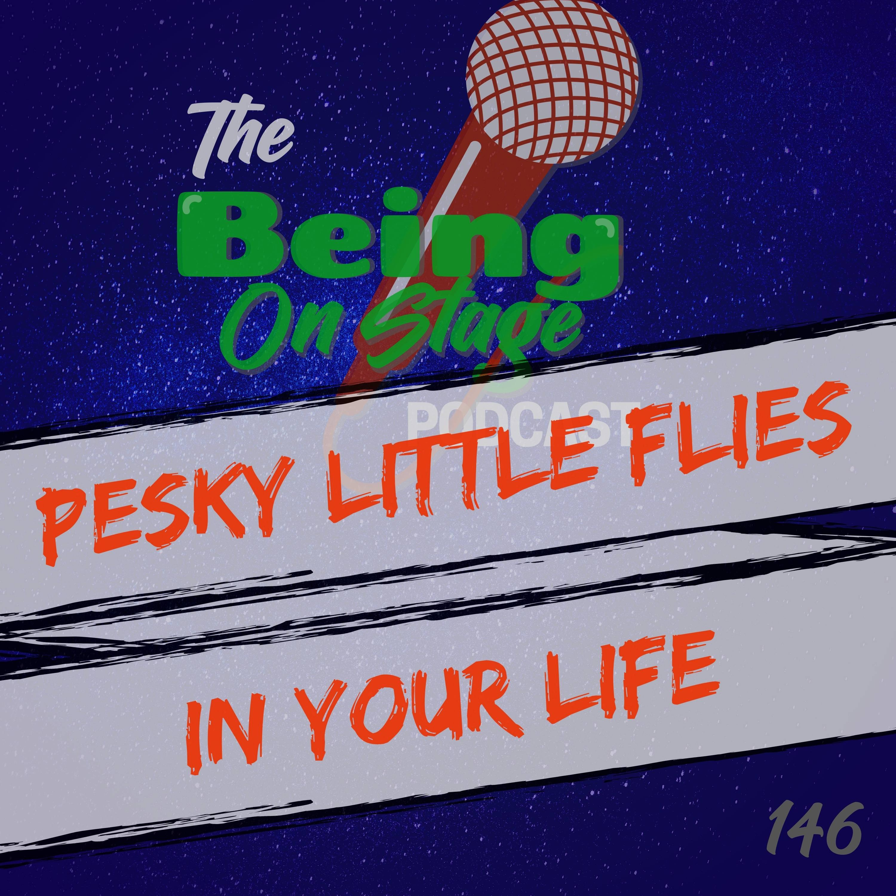 Pesky Little Flies in Your Life episode artwork