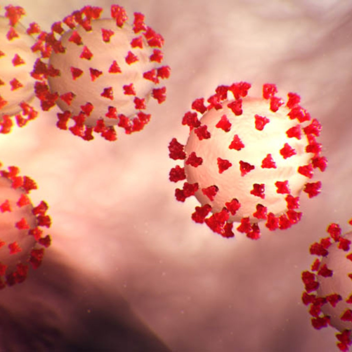 All about the Coronavirus