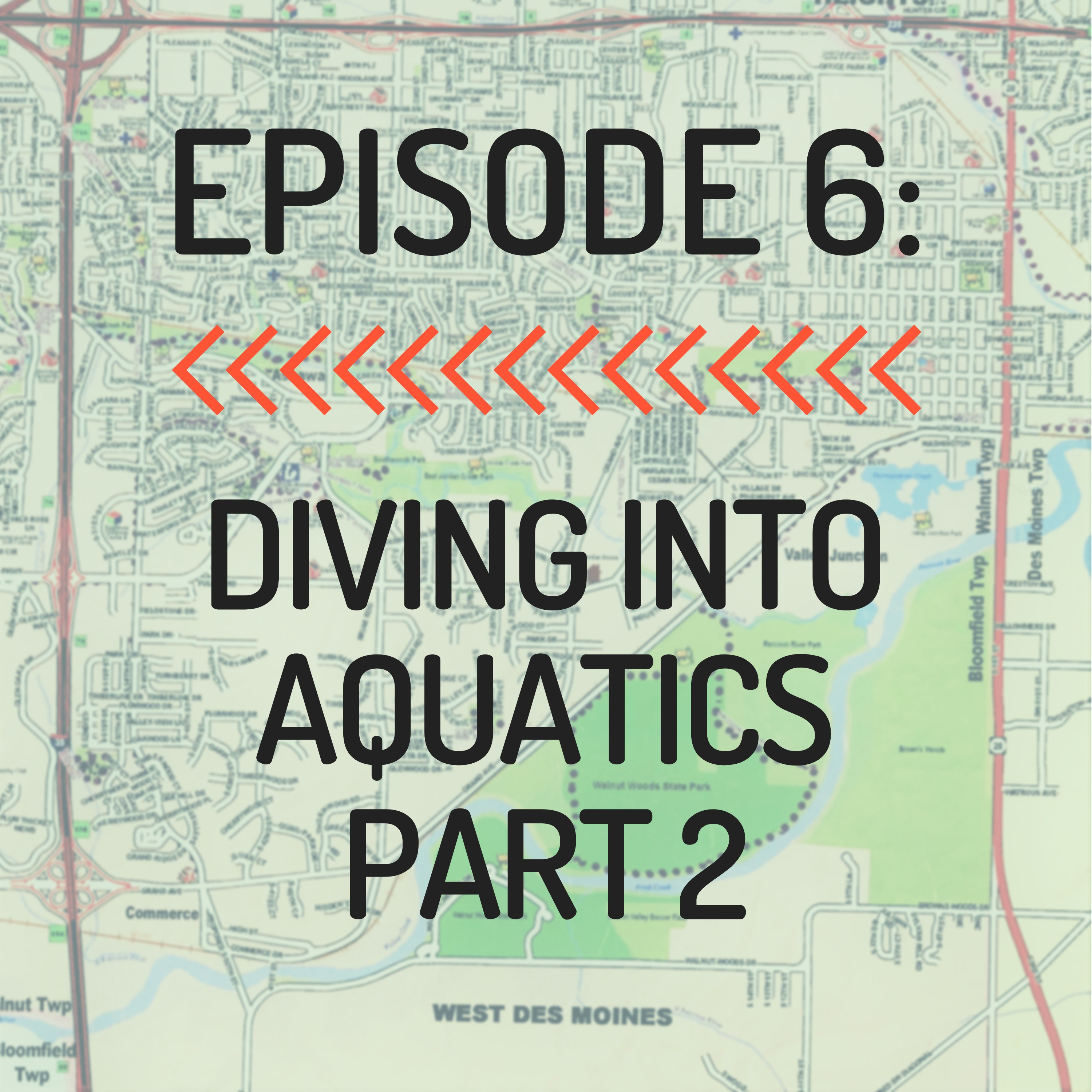 Diving Into Aquatics: Part 2