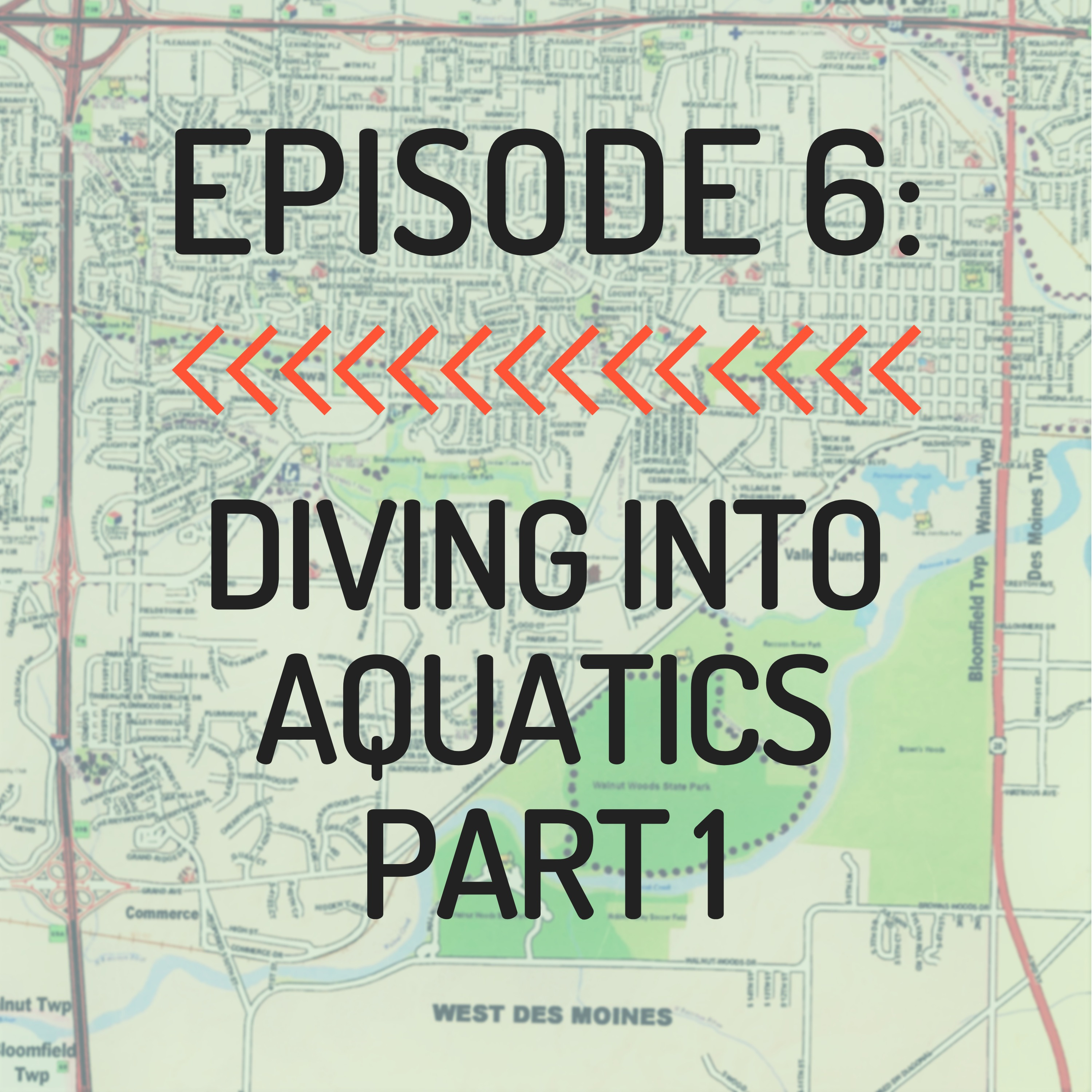 Diving Into Aquatics: Part 1
