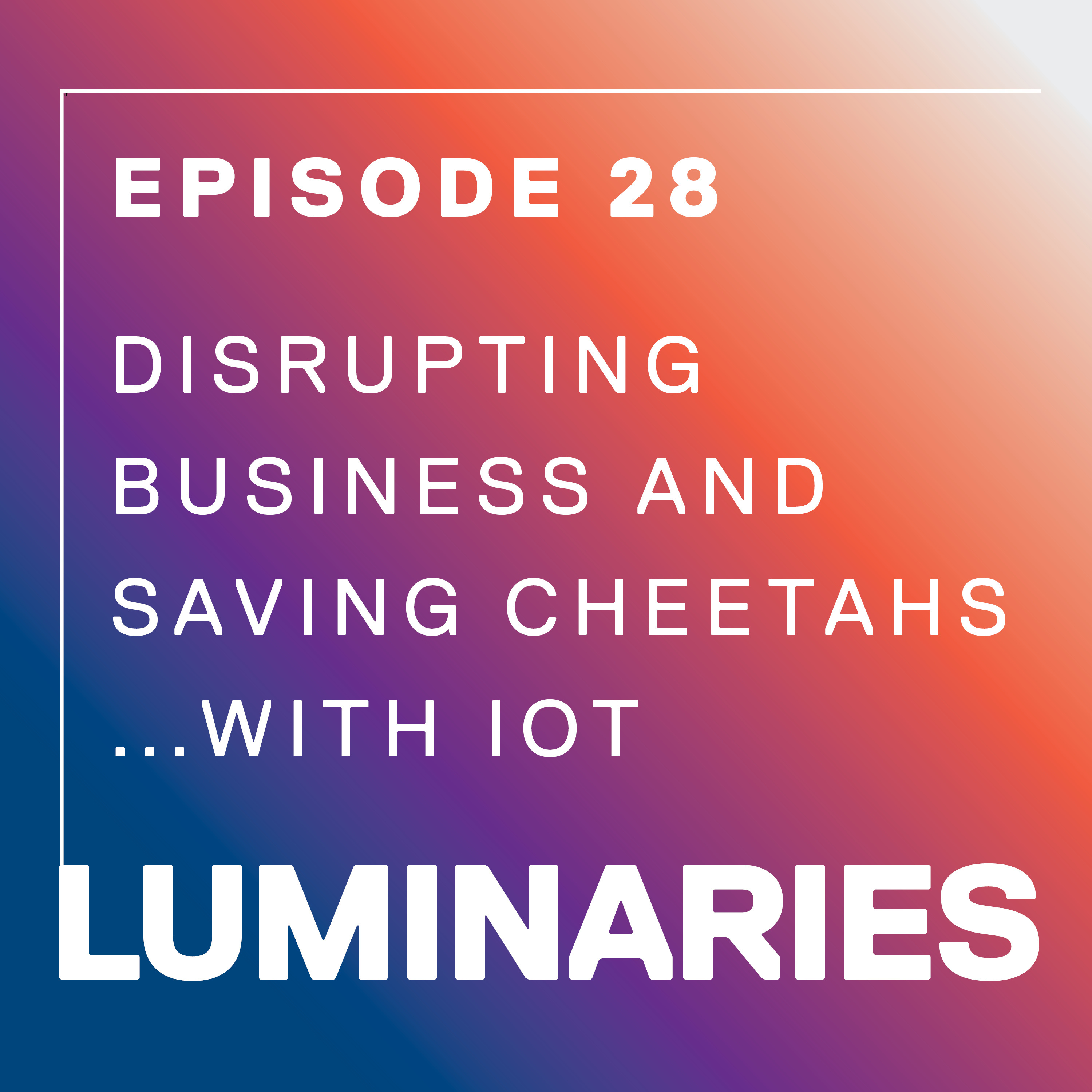 Disrupting Business and Saving Cheetahs…With the Internet of Things