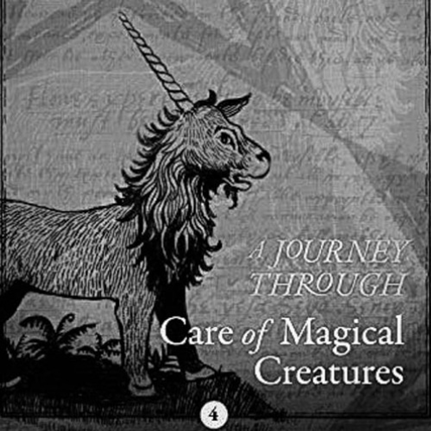 Ep 48: BOOK REVIEW - A Journey Through Care of Magical Creatures