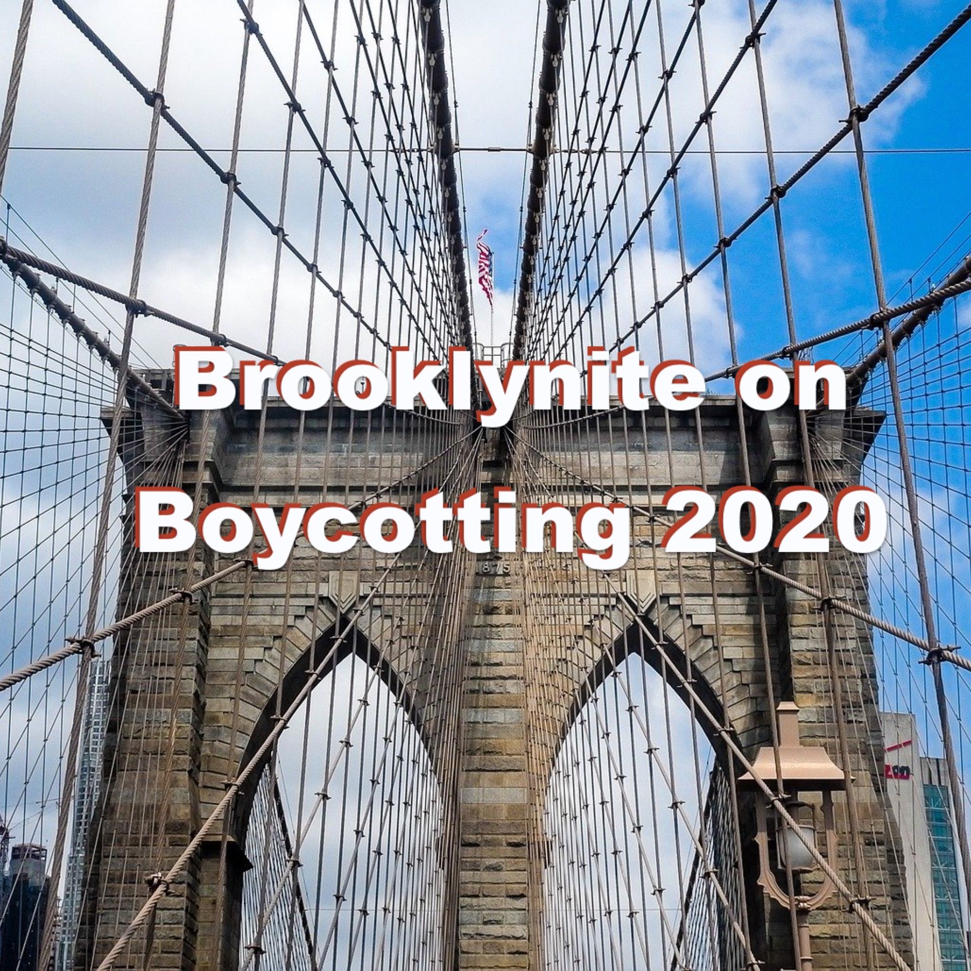 Brooklynite on Boycotting 2020