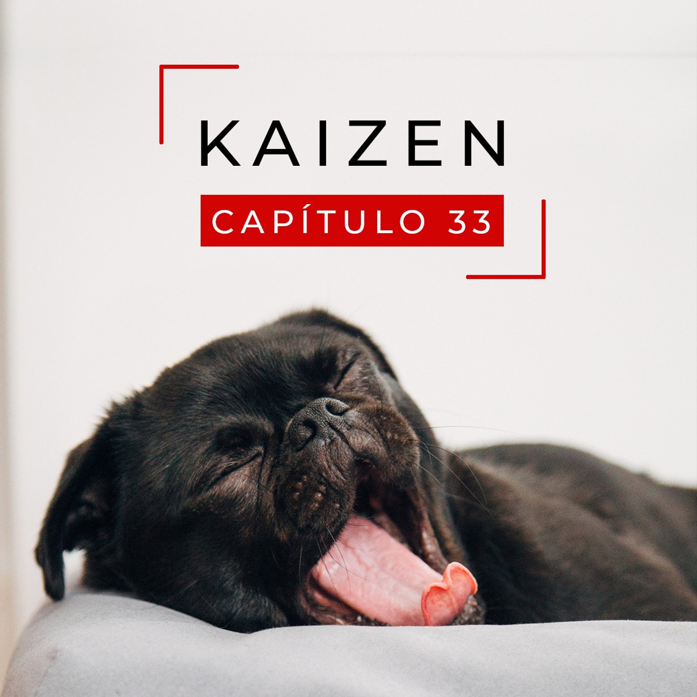 #33 La importancia del sueño