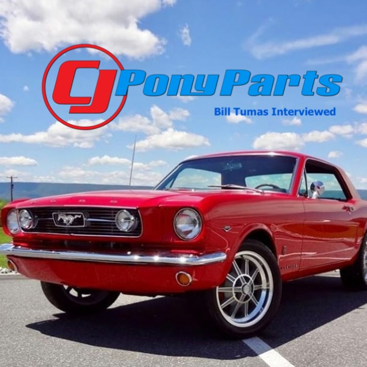 Ford Motorcraft Autolite 4100 Plus Grade Carburetor kit Hipo 289 427 428 Mustang