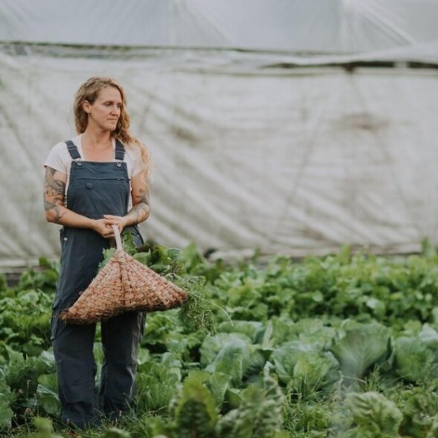 Episode 2: Melissa Young-Millsap