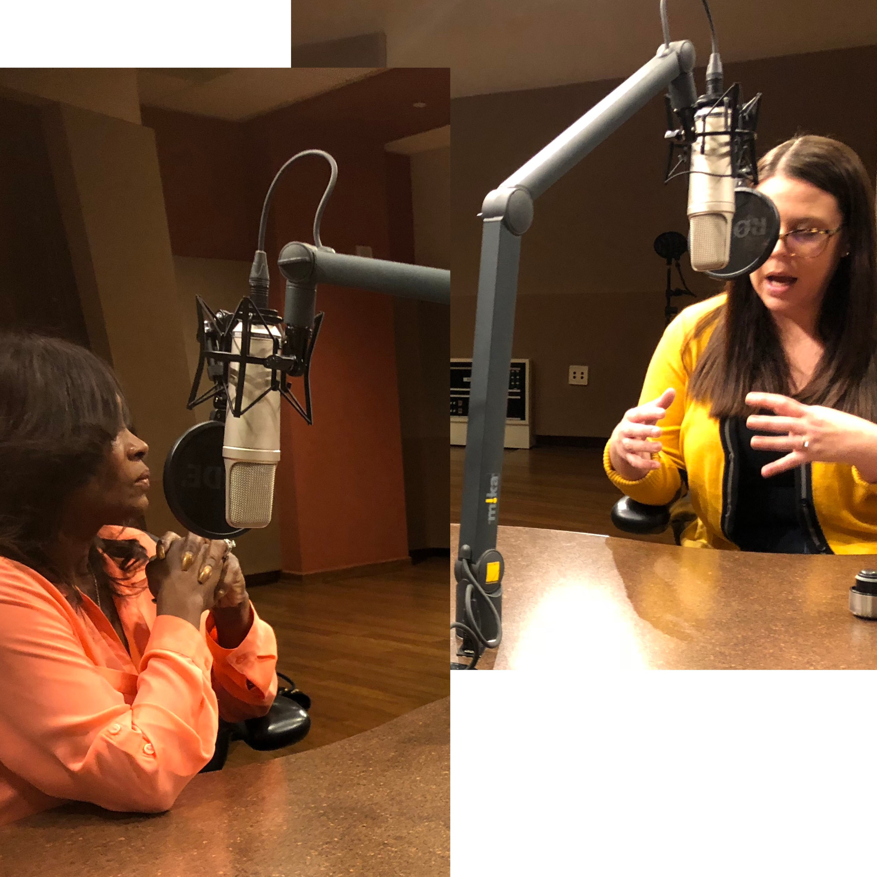 The Nevada Voice Podcast