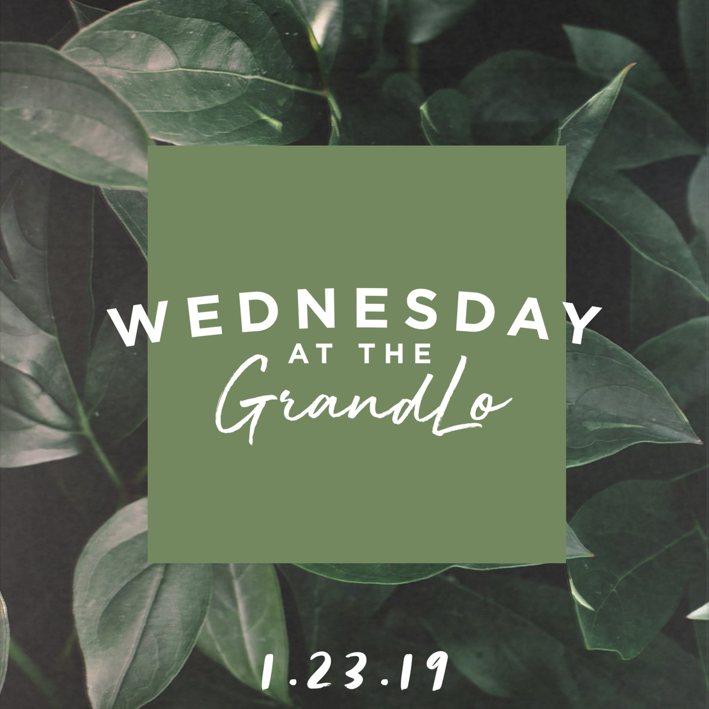 Wednesday at the GrandLo: 1-23-19