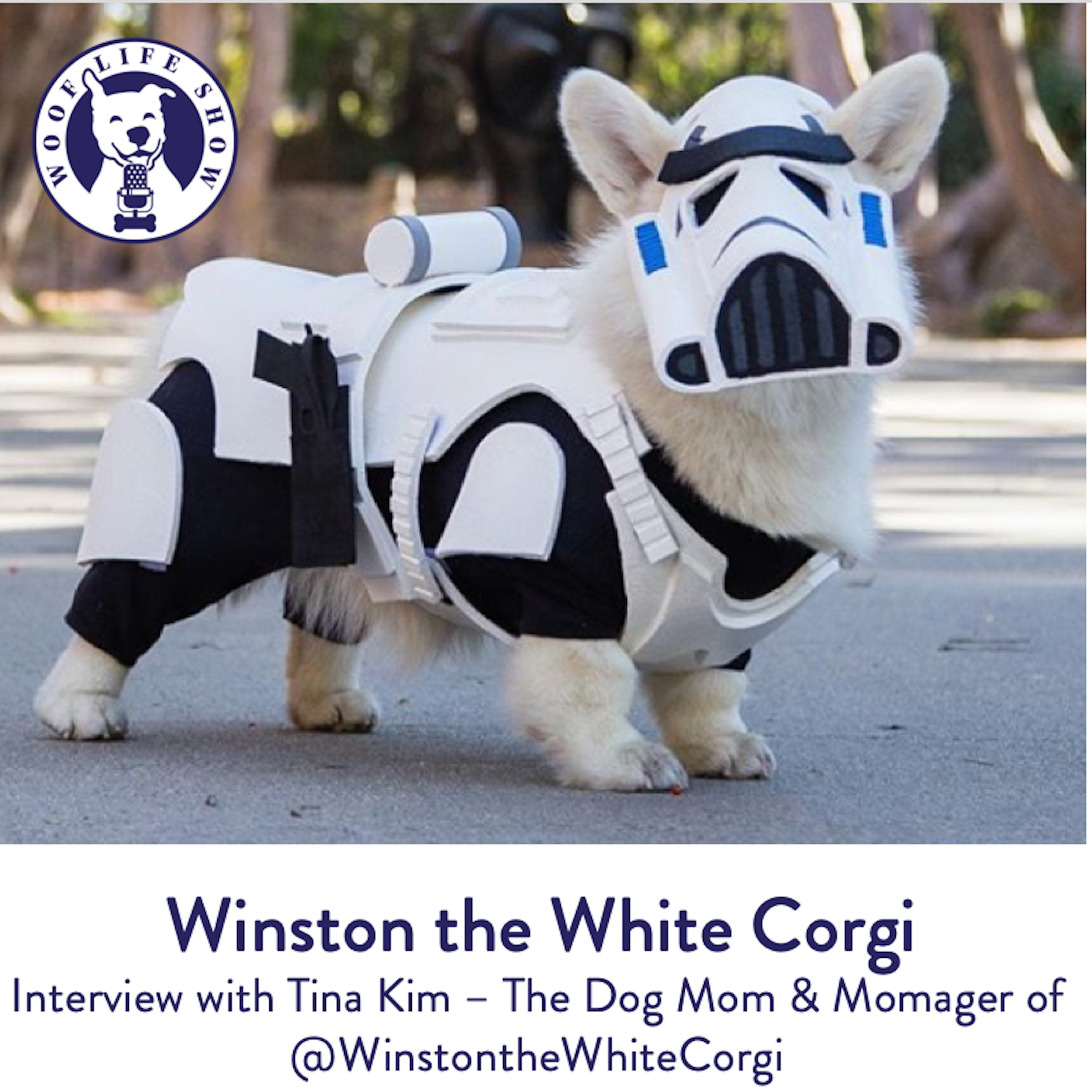 The Woof Life Show - A Podcast for Dog Lovers