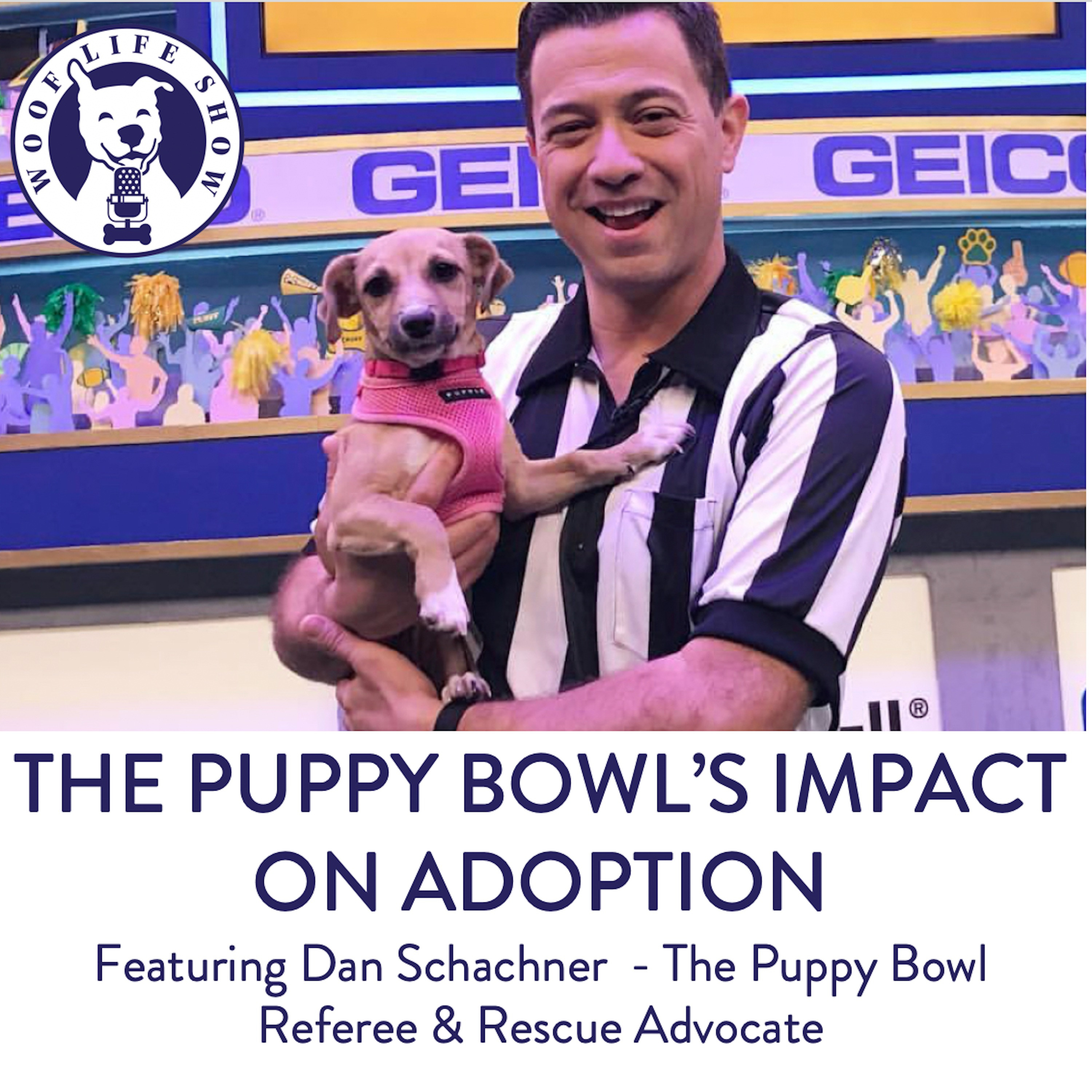 The Woof Life Show - A Podcast for Dog Lovers