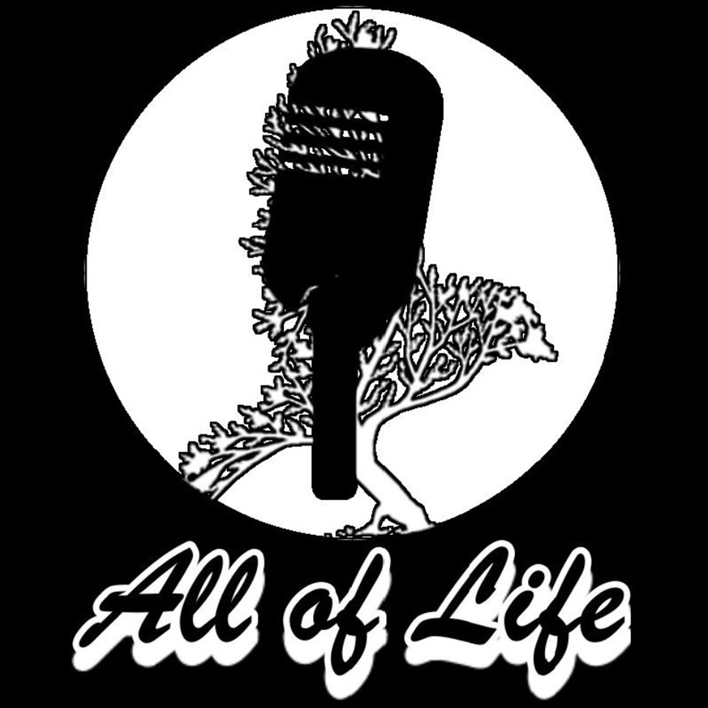 Episode # 1: How the Church in America Shines and how it fails