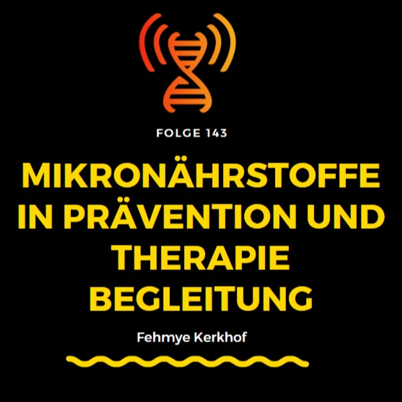 Mikronährstoffe in Prävention und Therapiebegleitung - Fehmye Kerkhof