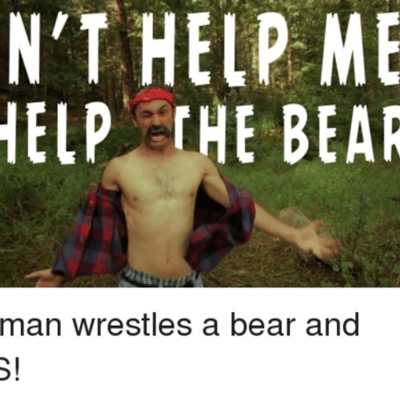 Save The Bear!