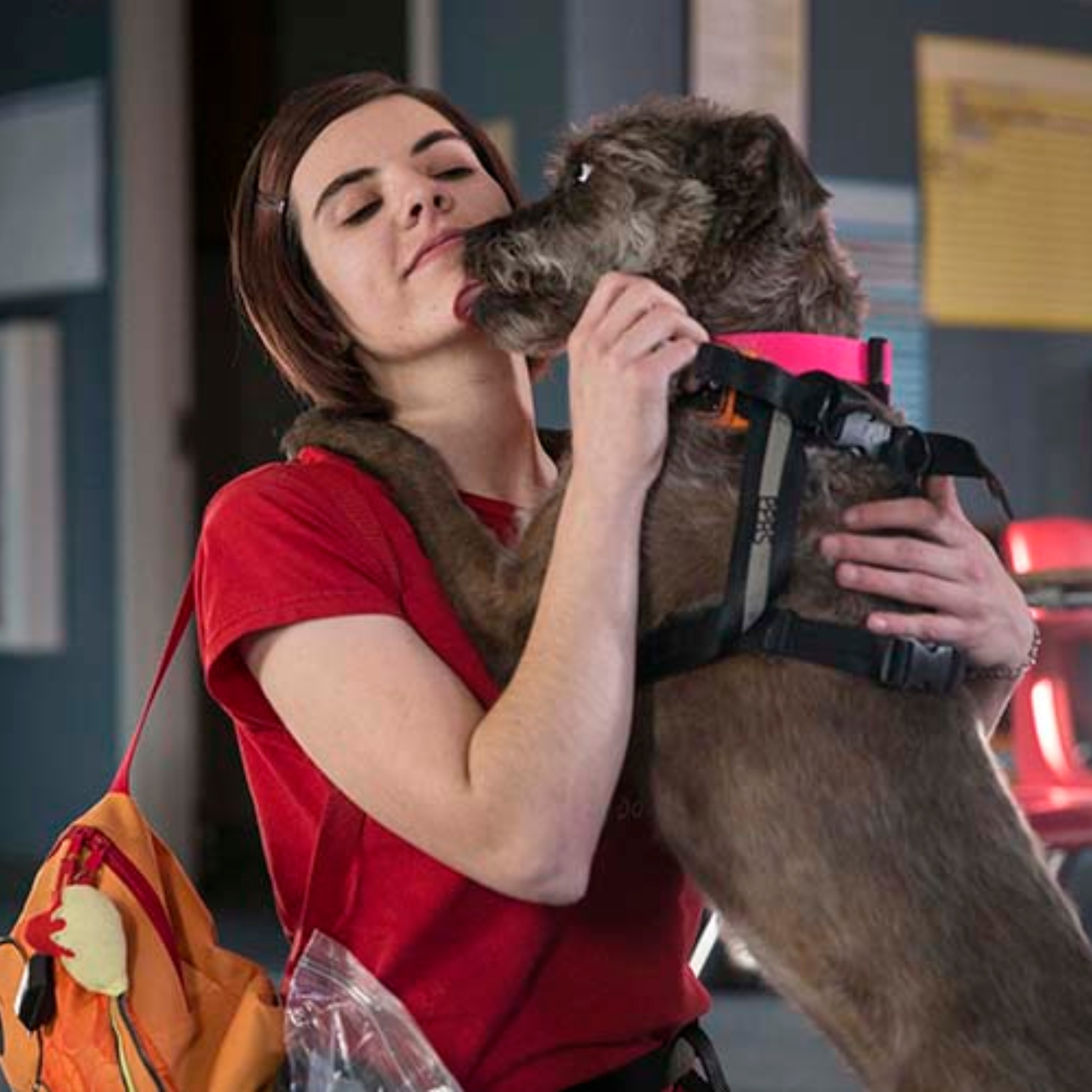 Service dog helps navigate life with autism Service dog helps navigate life with autism