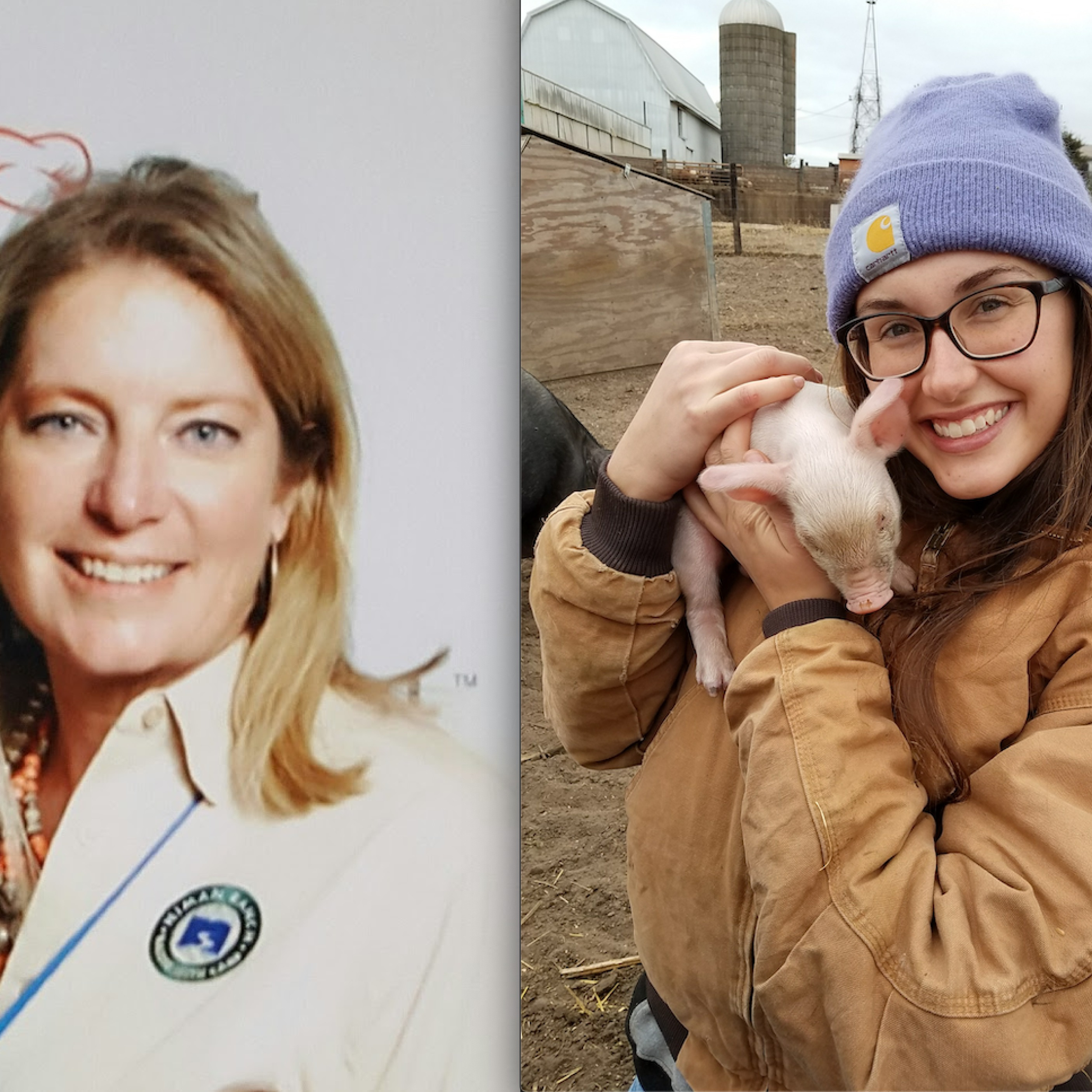 Chipotle and Niman Ranch team up to support young farmers