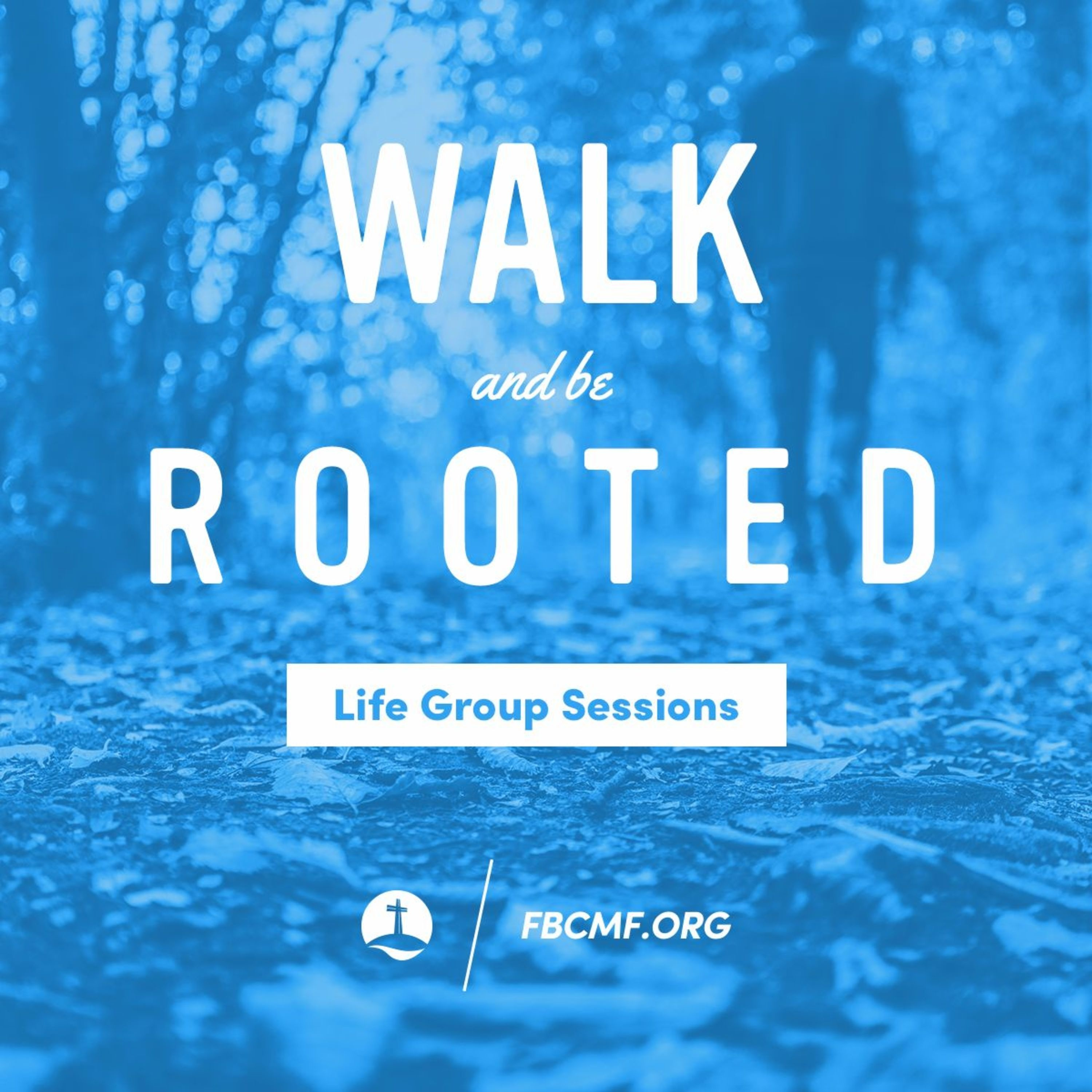 Walk And Be Rooted | Life Group Sessions | 5-23-17 episode artwork
