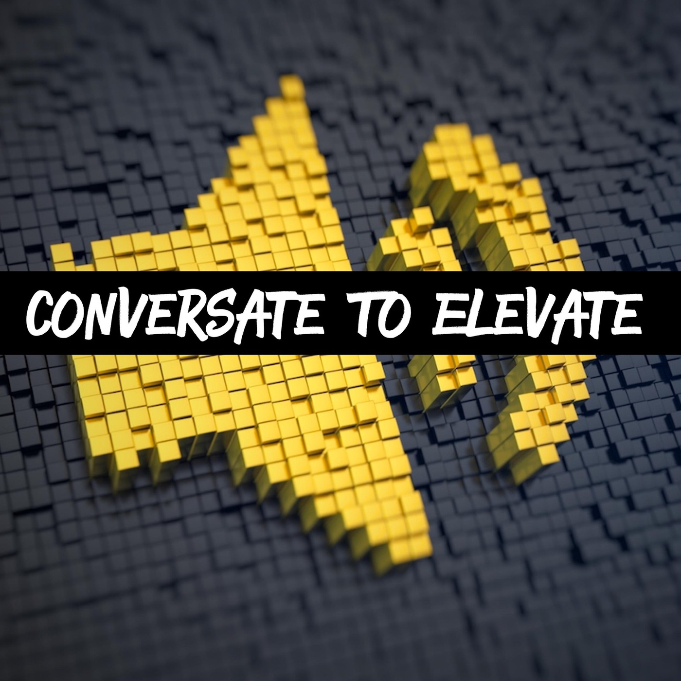 Conversate To Elevate Now podcast artwork