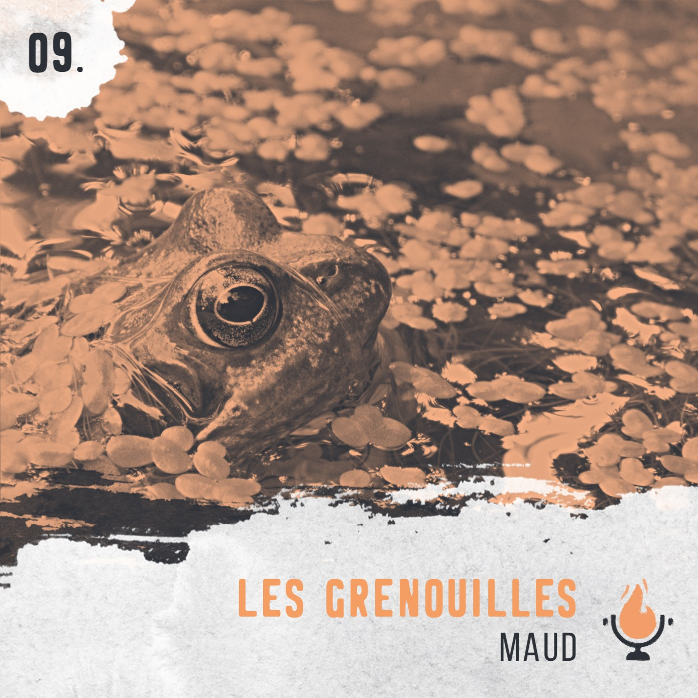 Les Grenouilles
