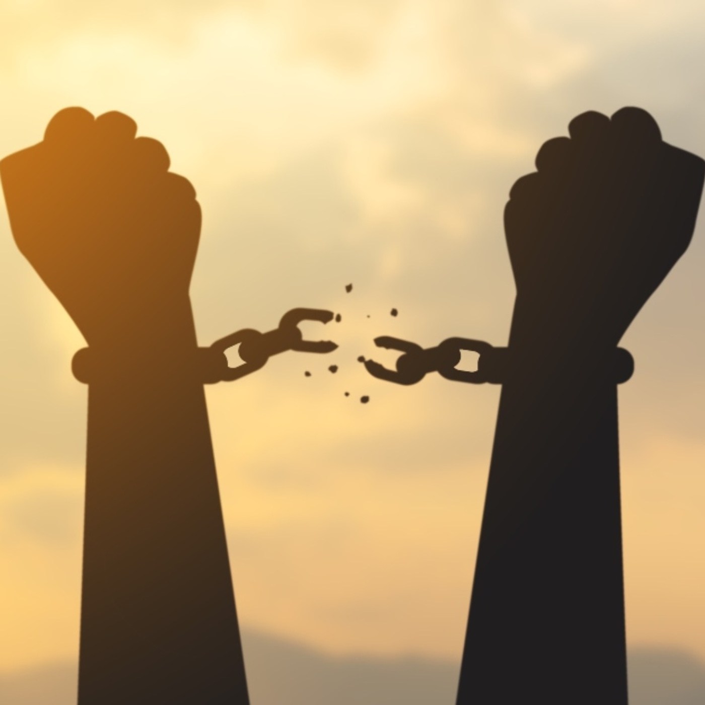 NOLAed: Education for Liberation