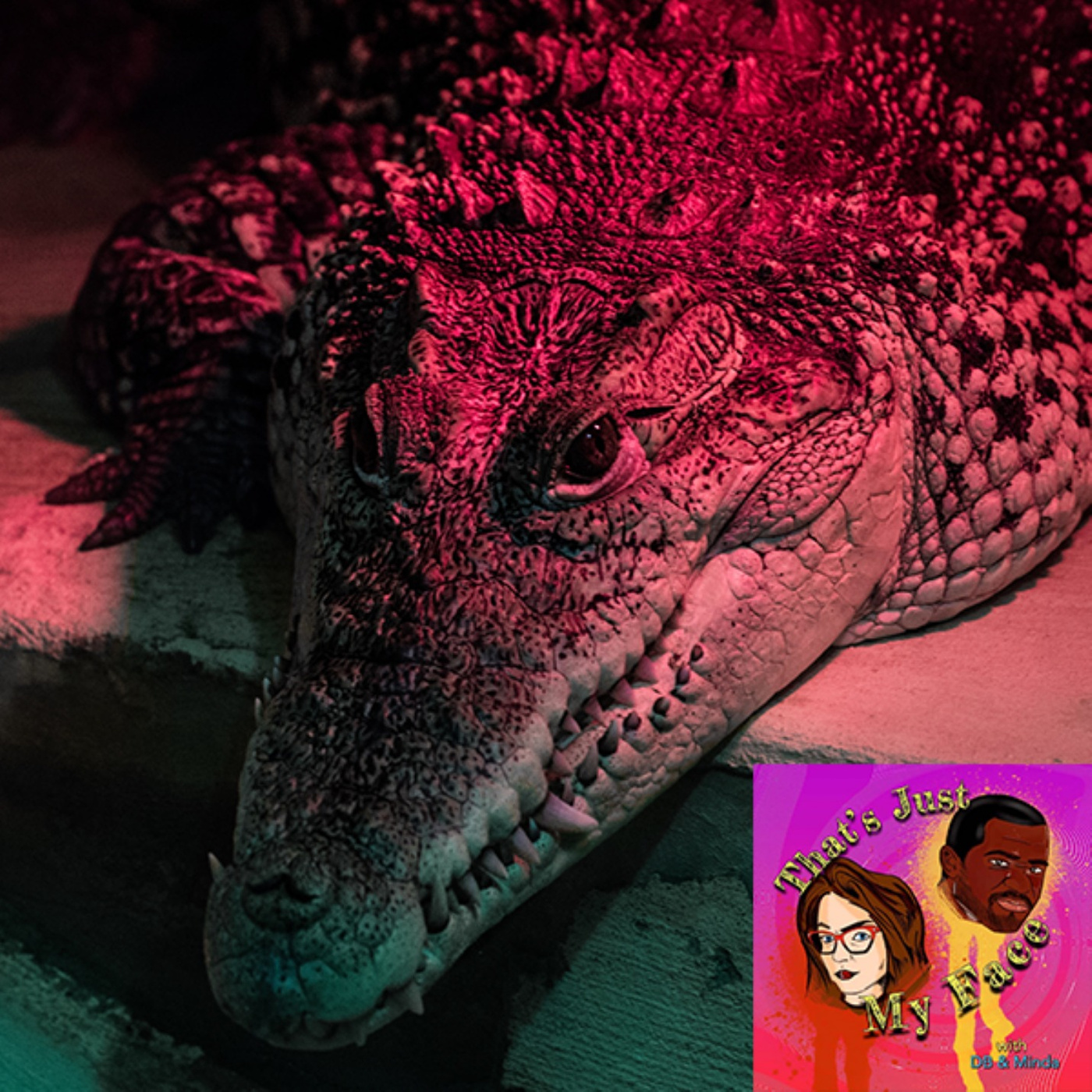 #5 Women are Gators: WTFlorida (Special Guests: Dr. Brian King, Sarah Bollinger & Willis Madden)