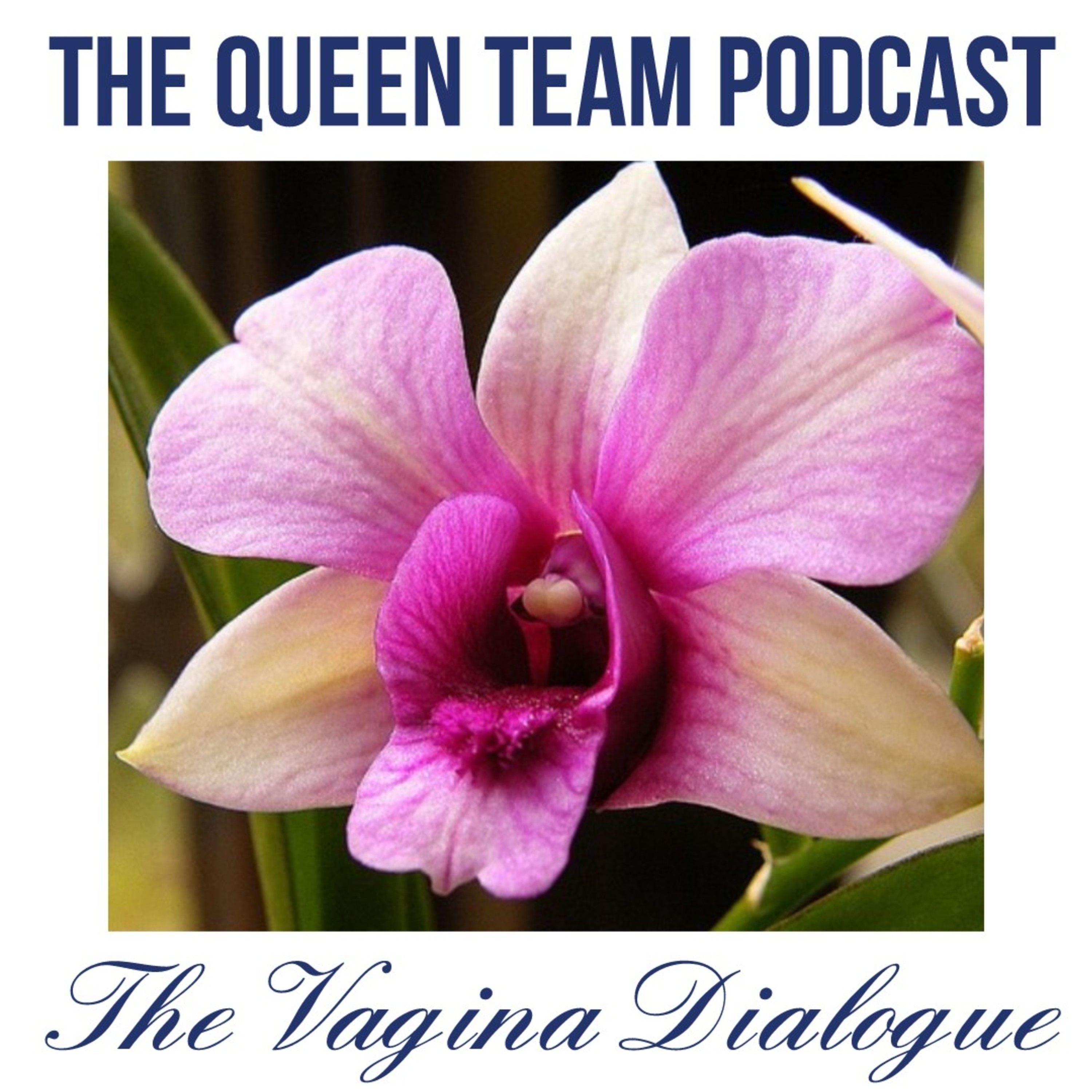The Vagina Dialogue