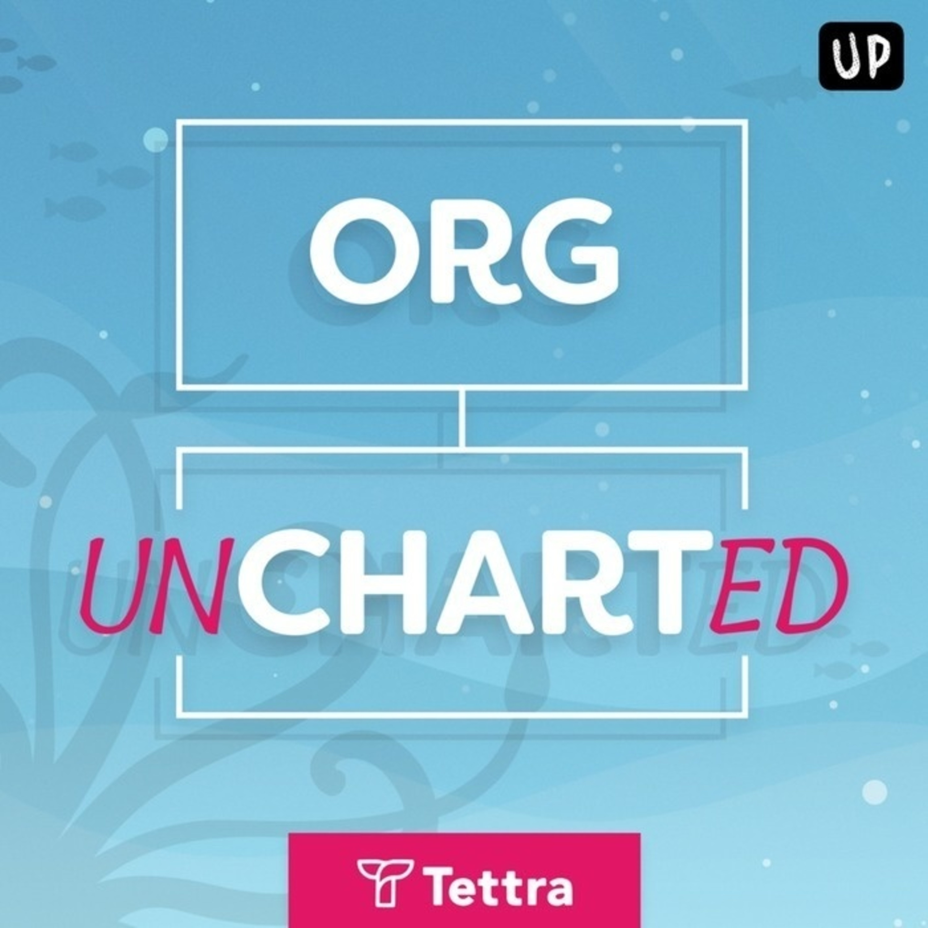 Rewarding Failure: How Udacity Separates Truth From Nonsense