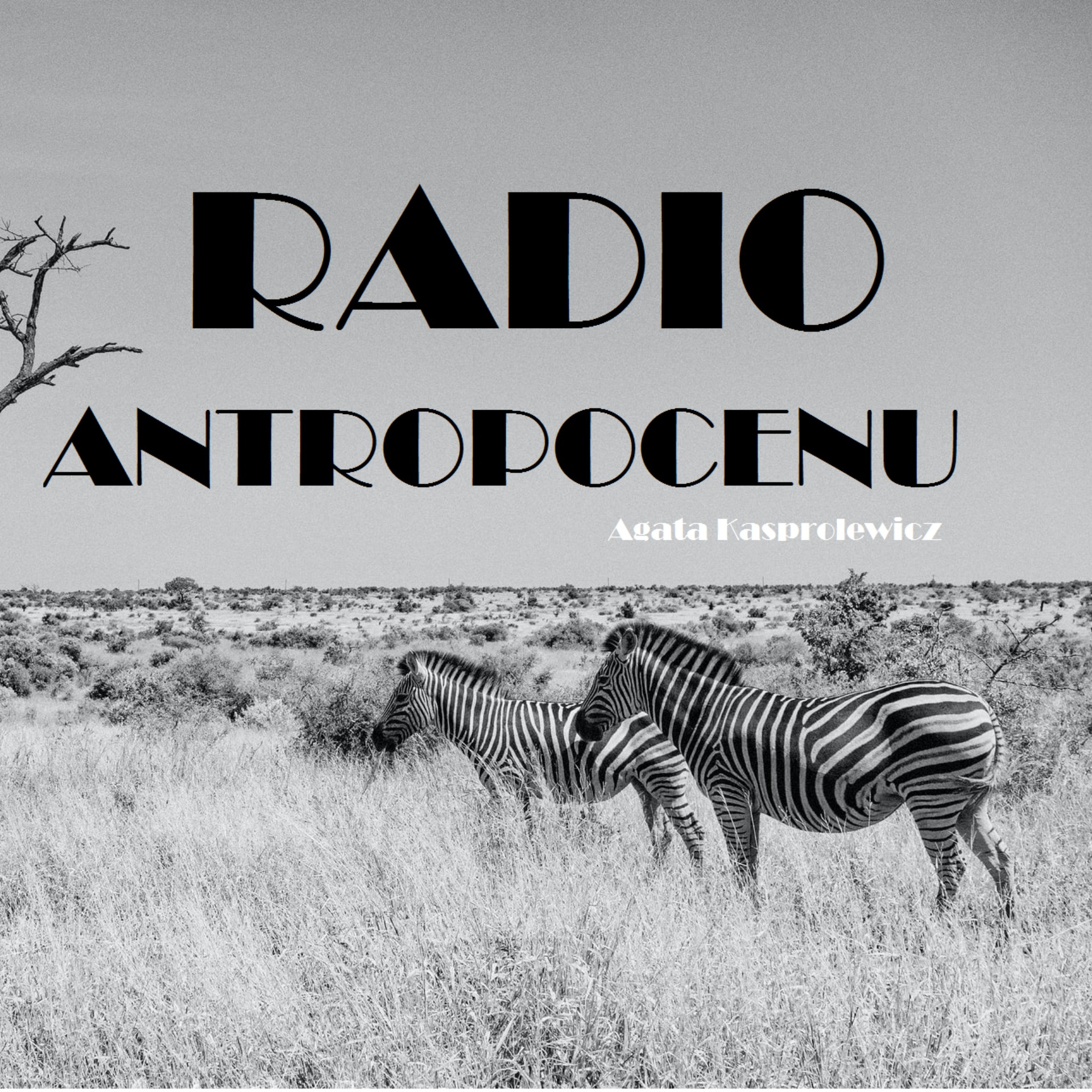 Woda, domy i ludzie | Radio Antropocenu #4 episode artwork