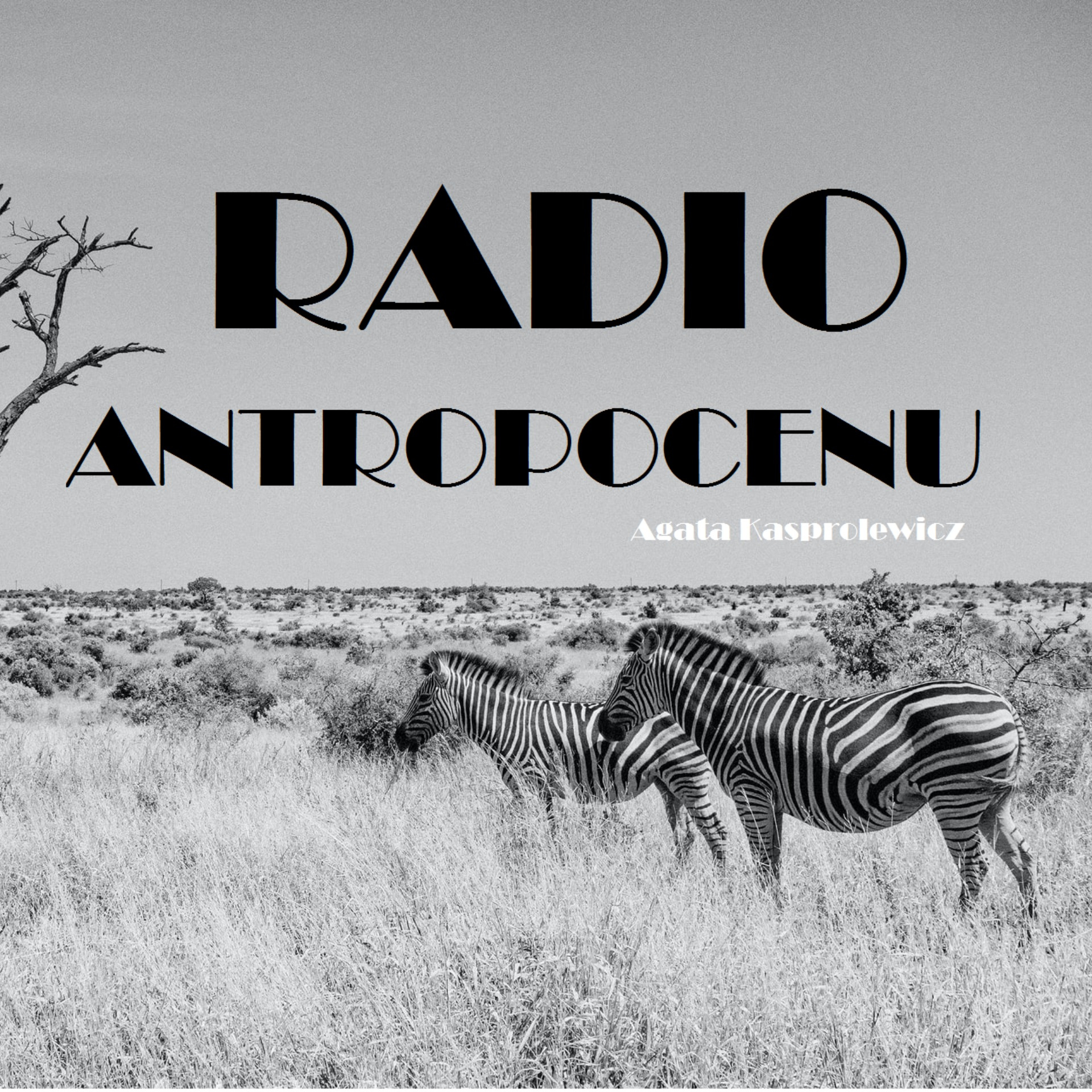 Mur, susza i karawany migrantów | Radio Antropocenu #3 episode artwork
