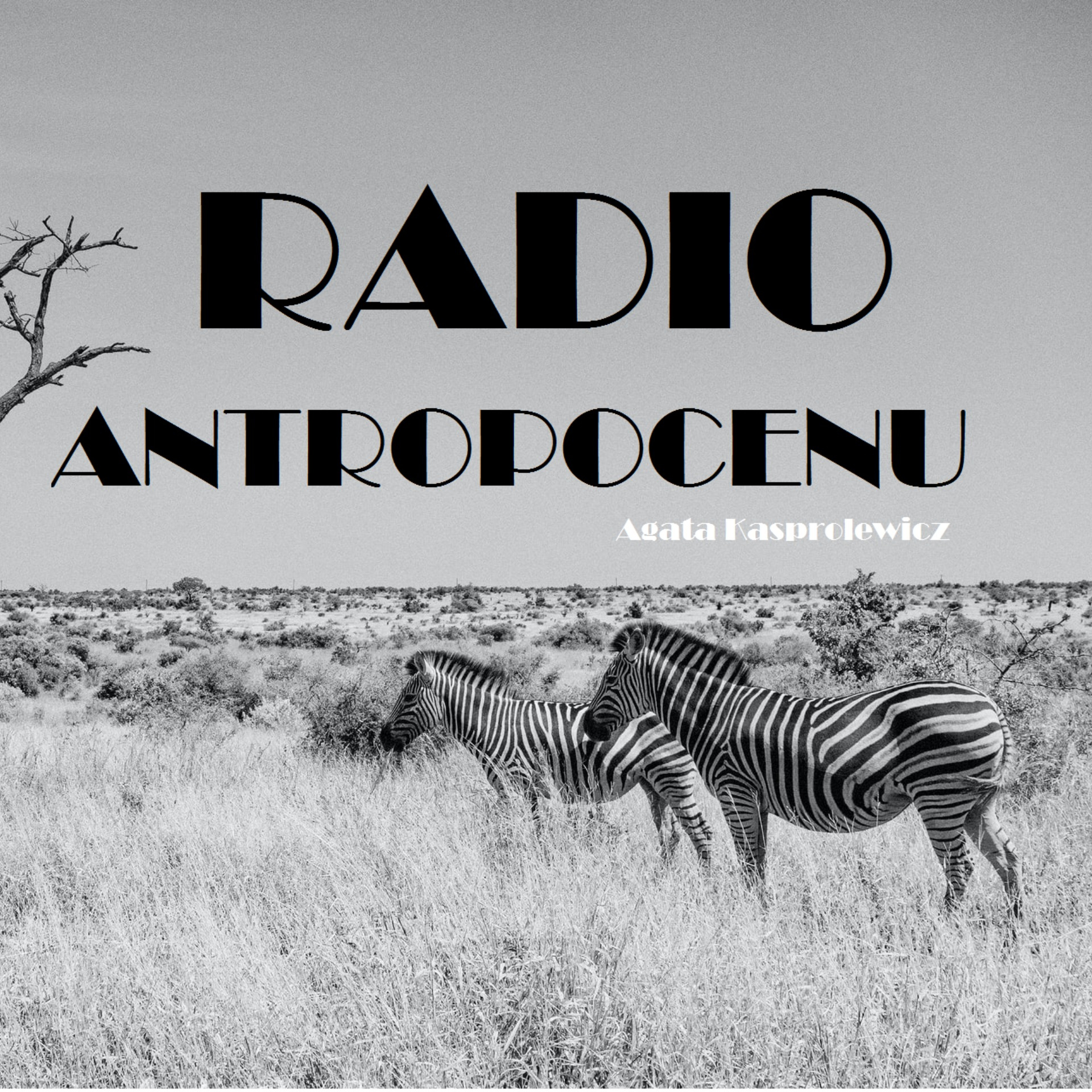 Drzewa i ludzie | Radio Antropocenu #5 episode artwork