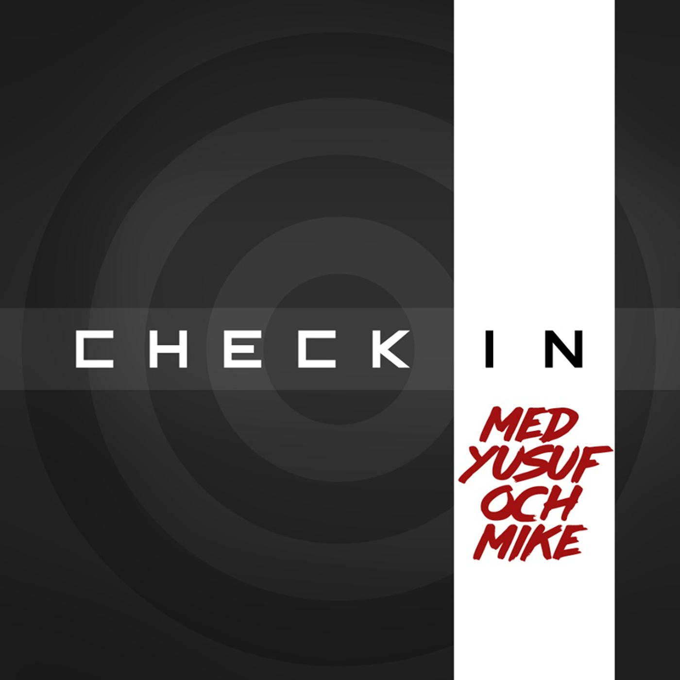 Yusuf & Mike: Check-In