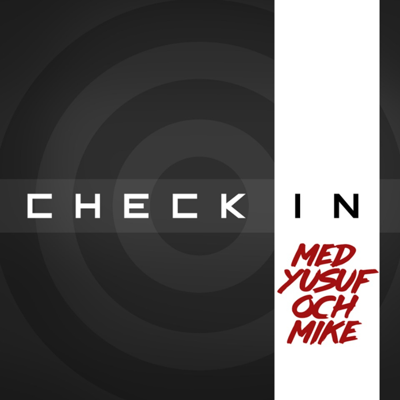 Yusuf & Mike: Check-In