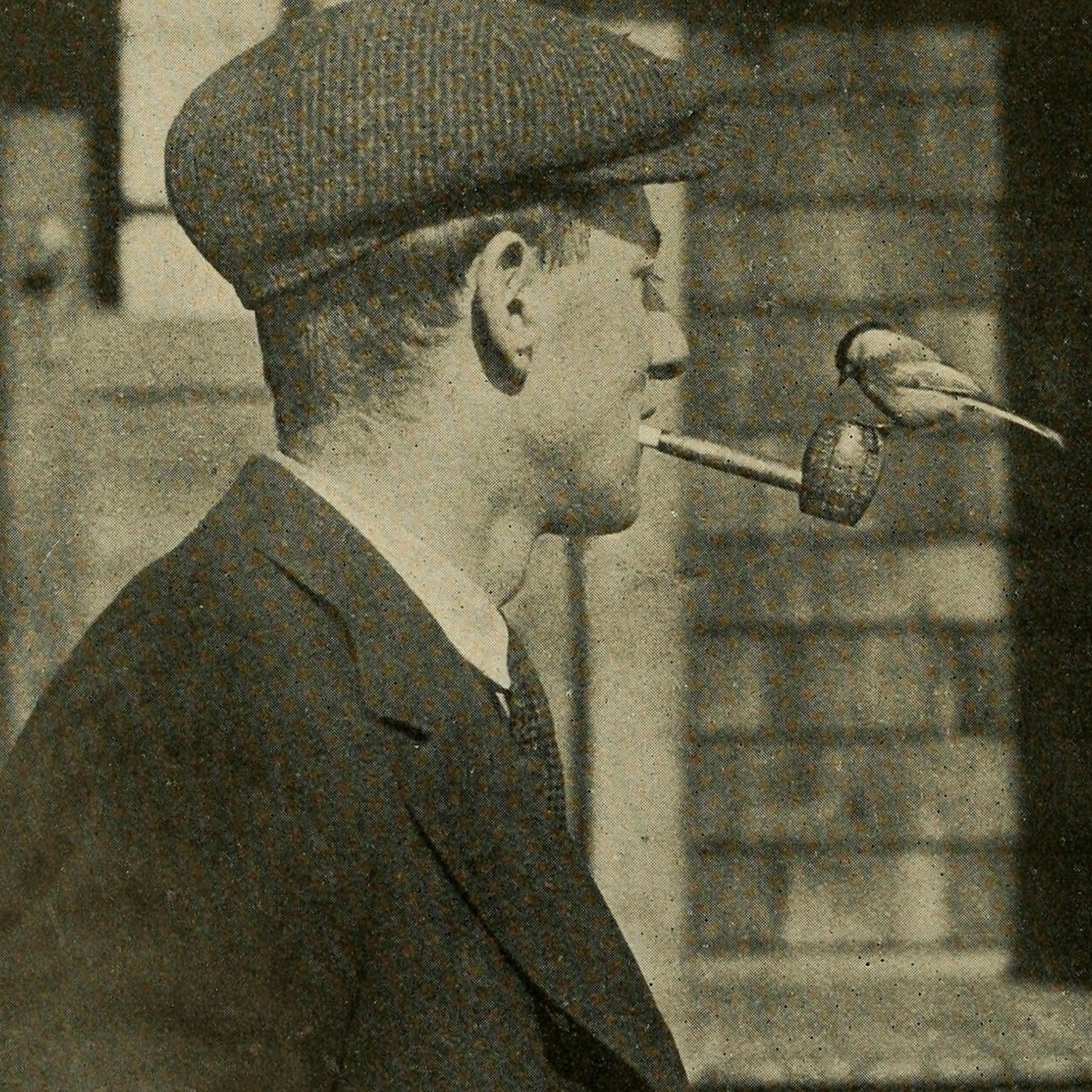 Works great in coffee shops too