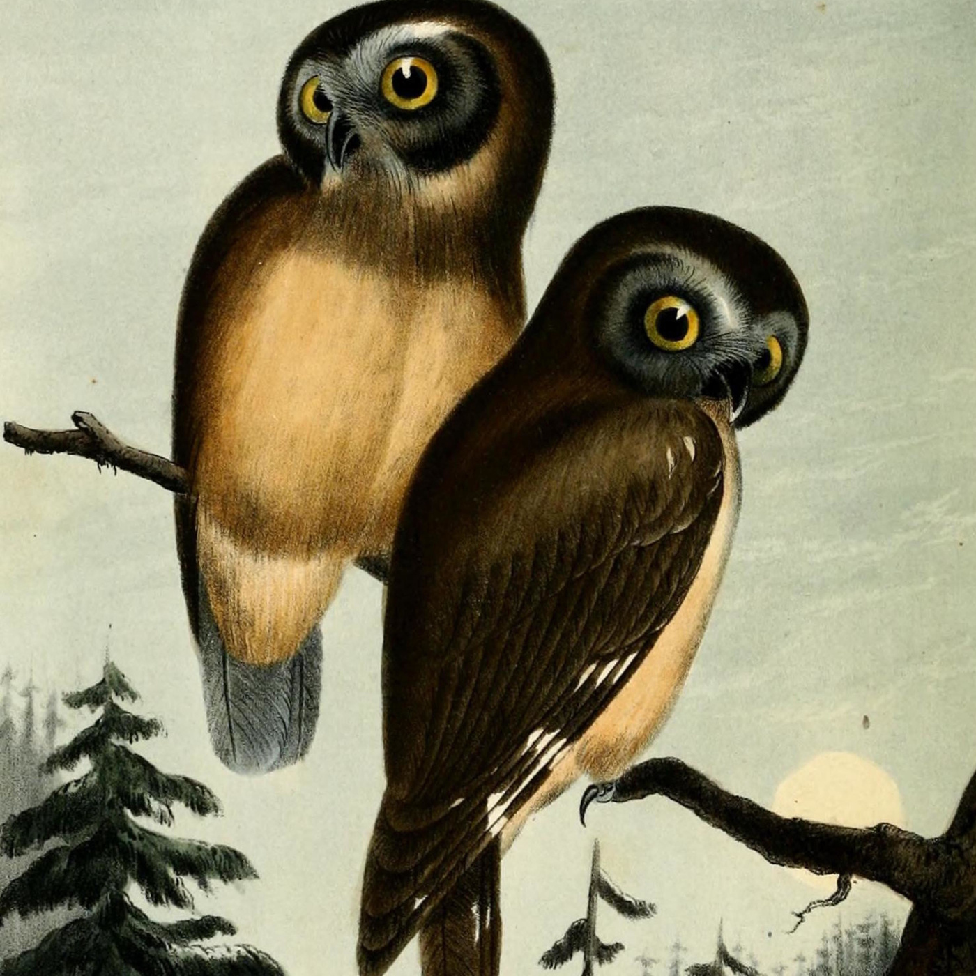 I'm not sure how I'd go to the line afterwards