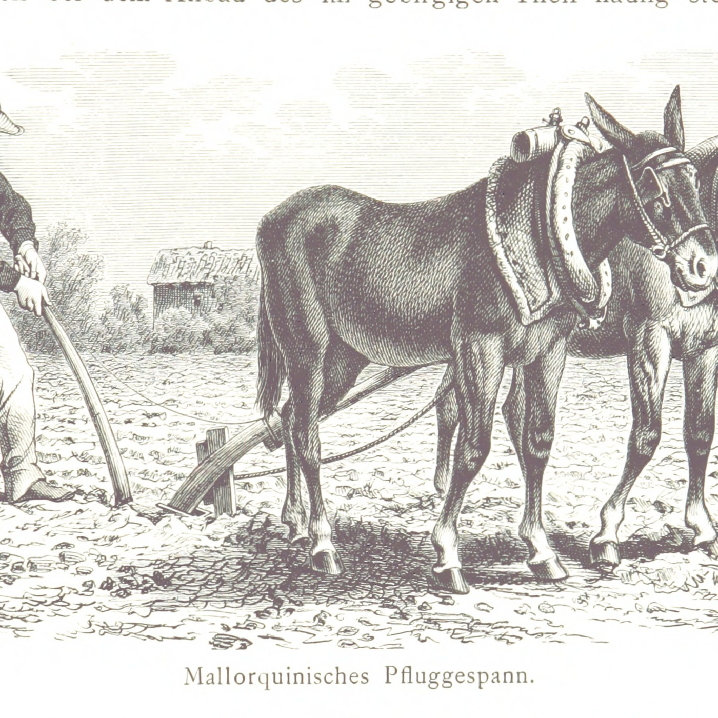 The mechanism was patented earlier in the century