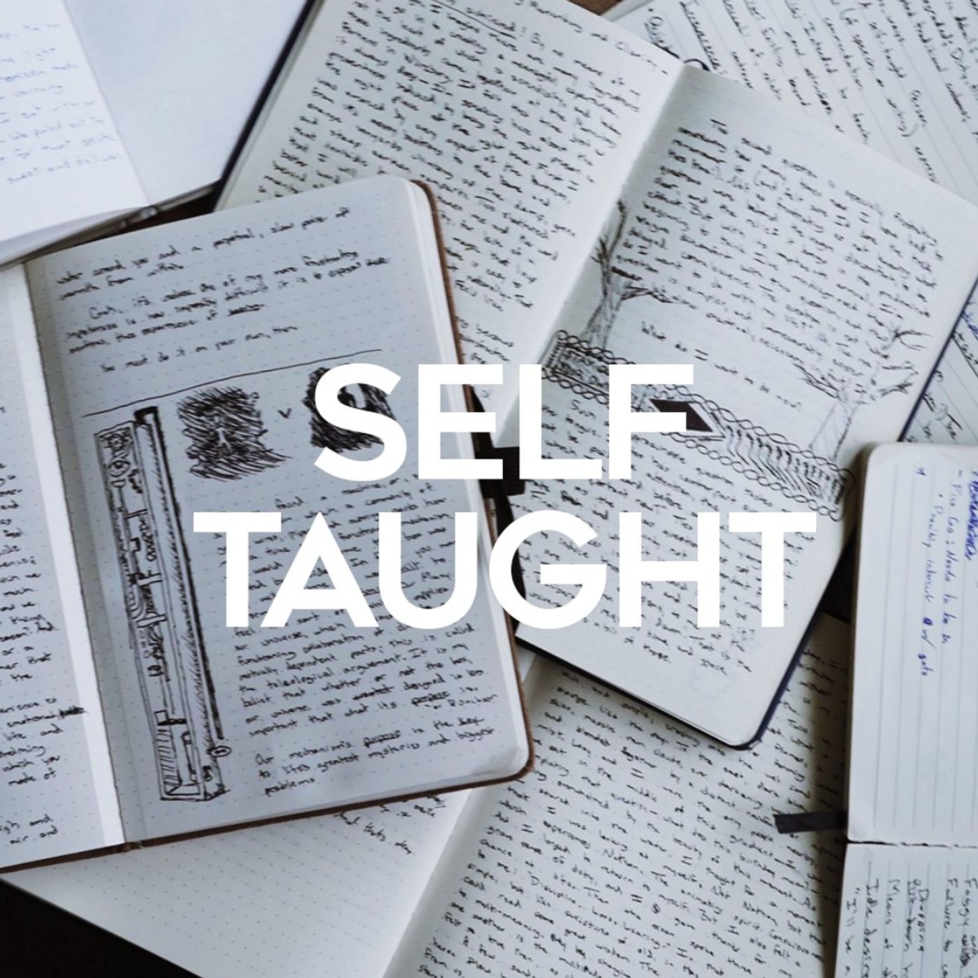 Self-Taught cover art