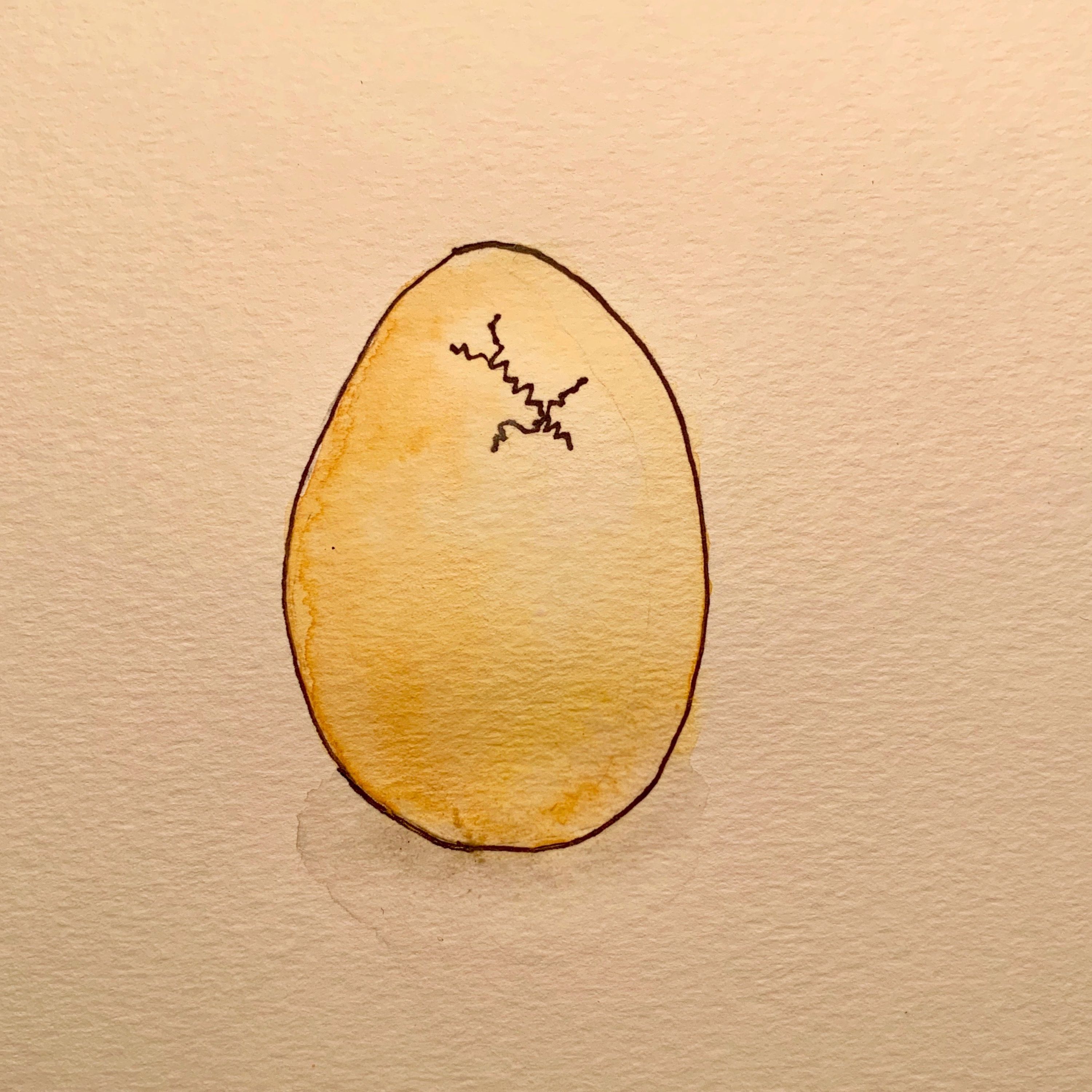 Chickens and Eggs!