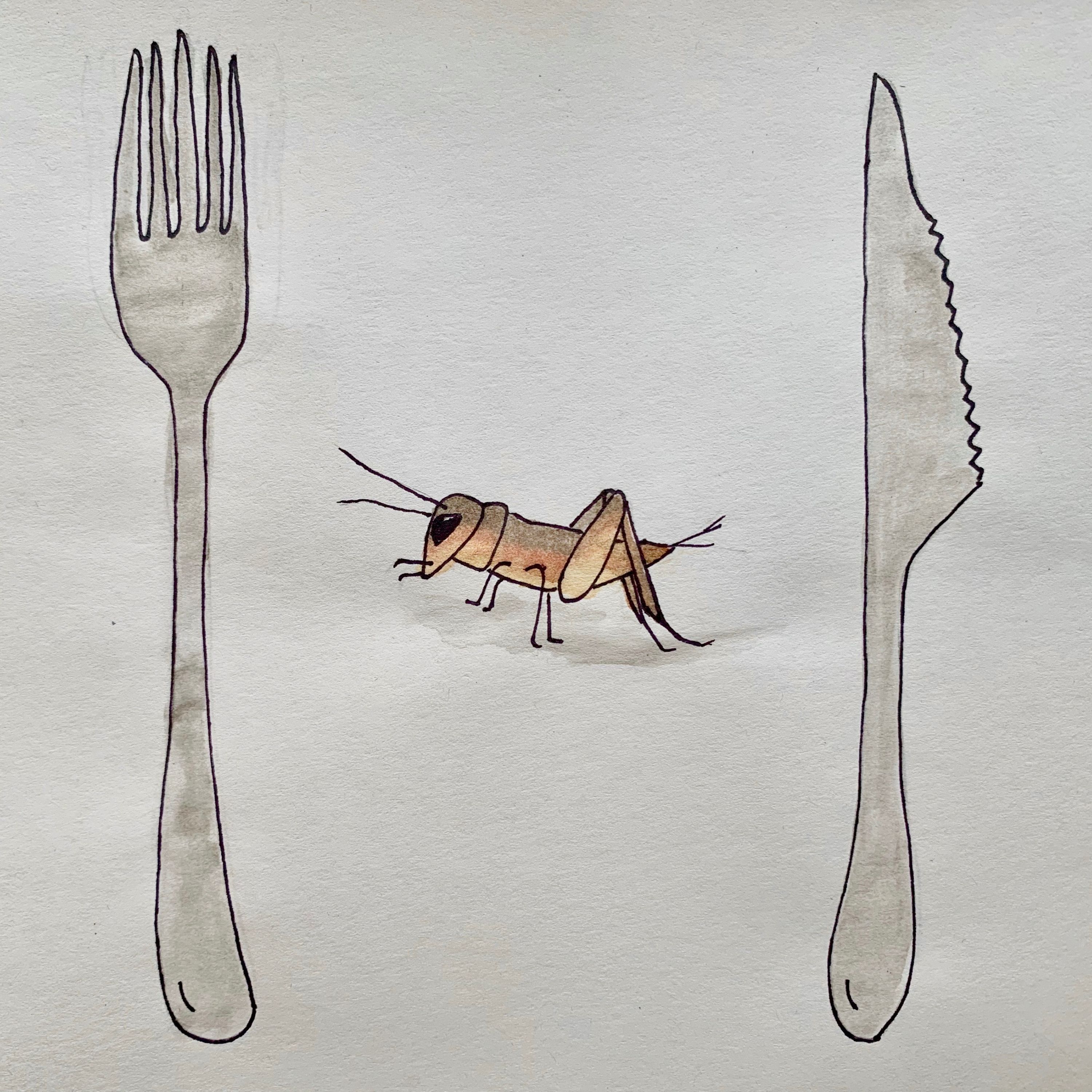 More Bugs! (Exploring Edible Insects)
