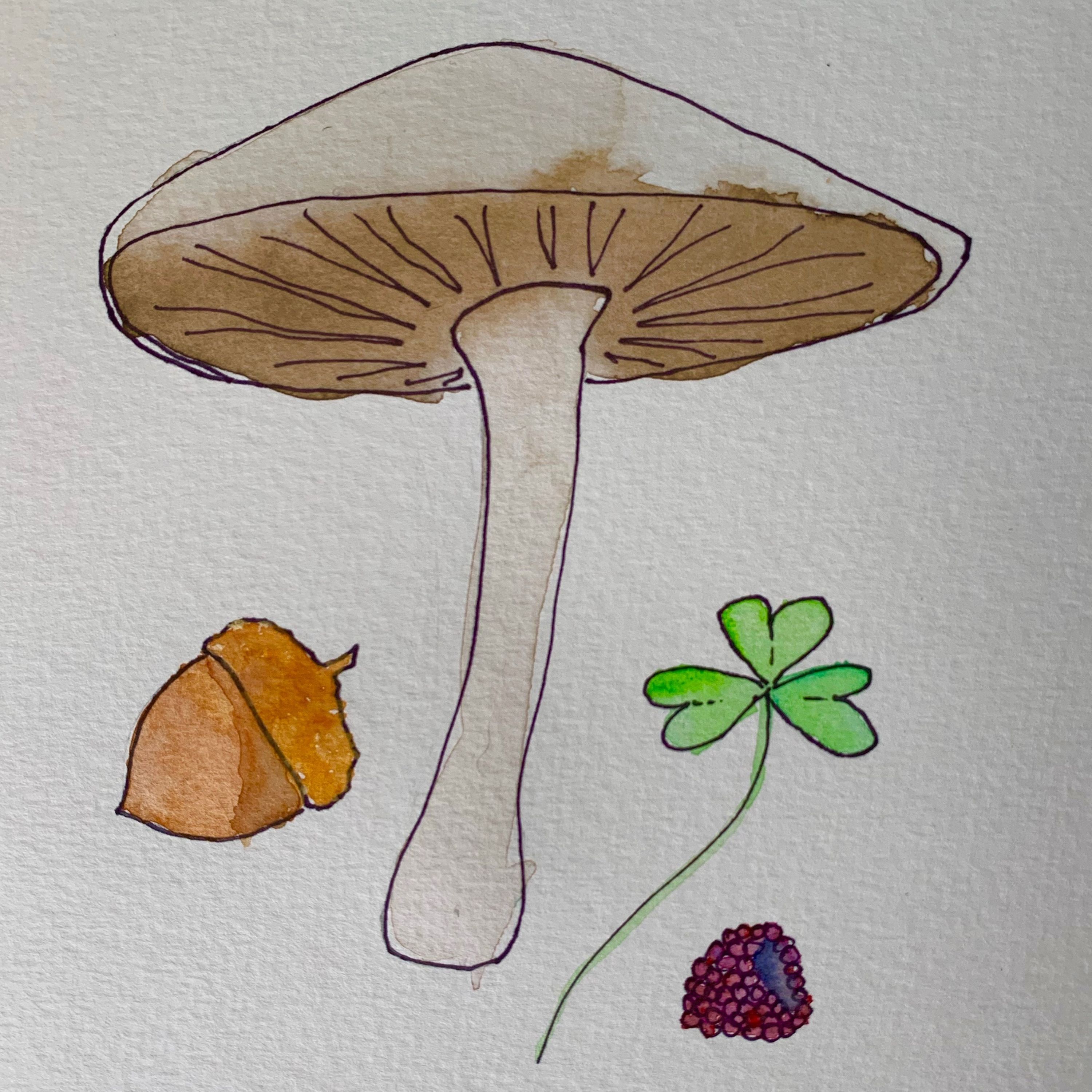Foraging!