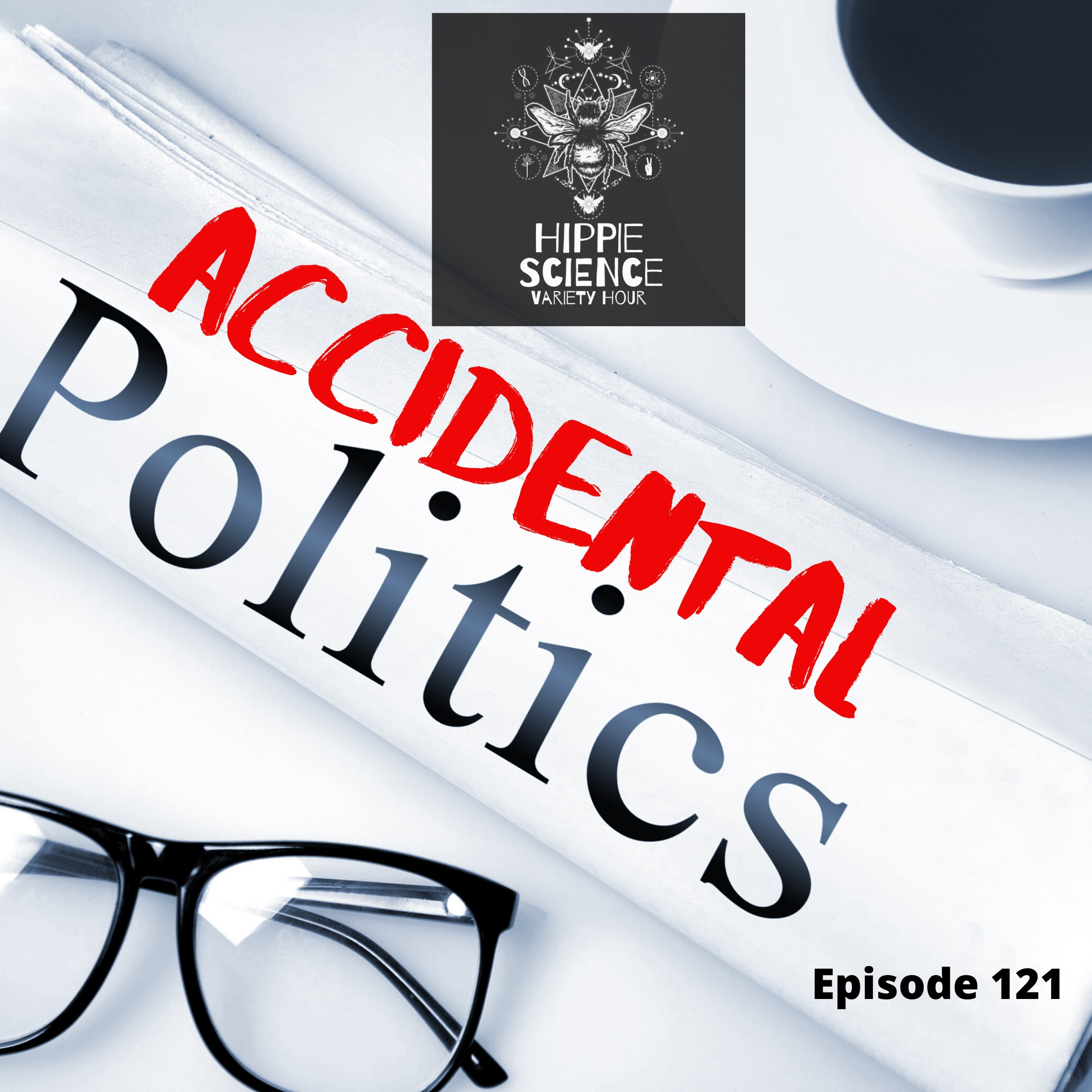 Accidental Politics
