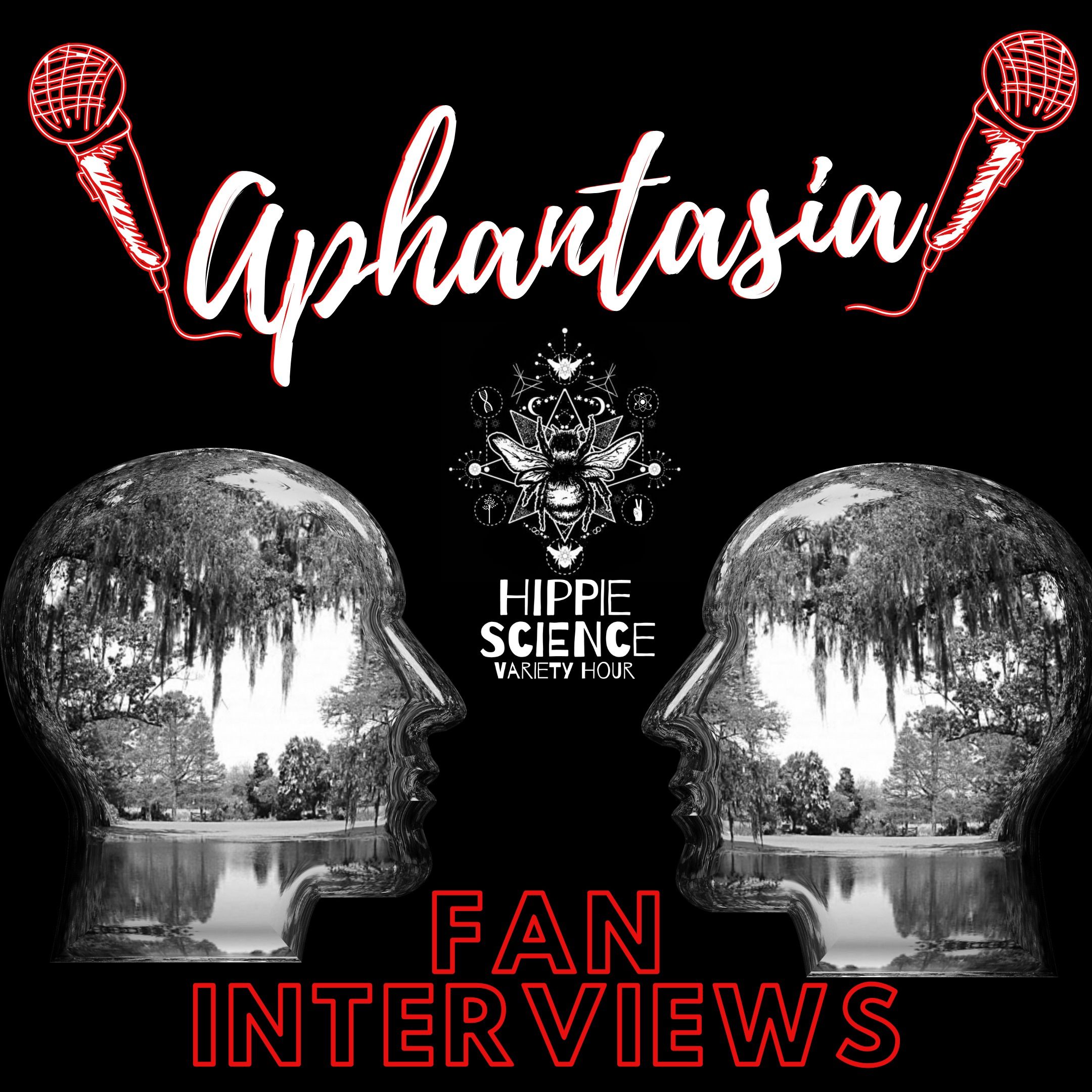 Aphantasia Fan Interviews