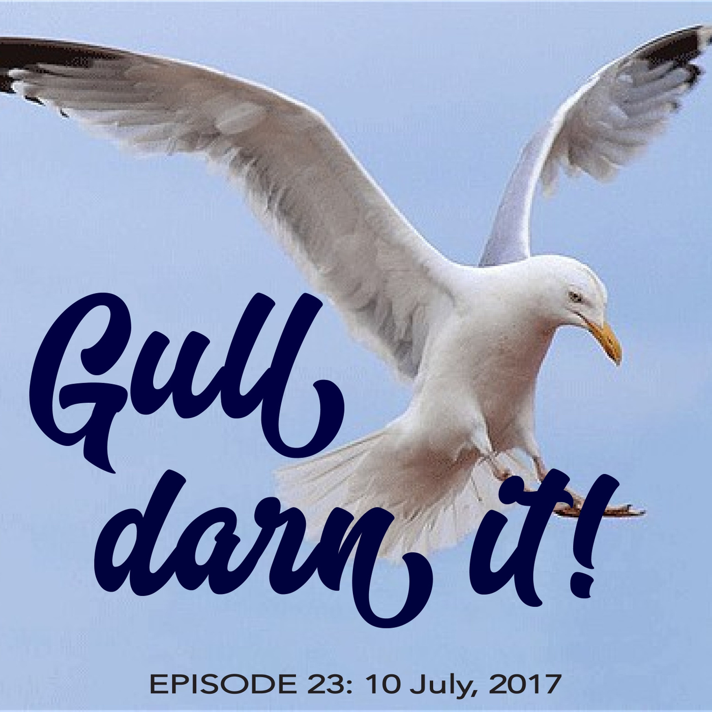 Gull Darn It! Gull Darn It!